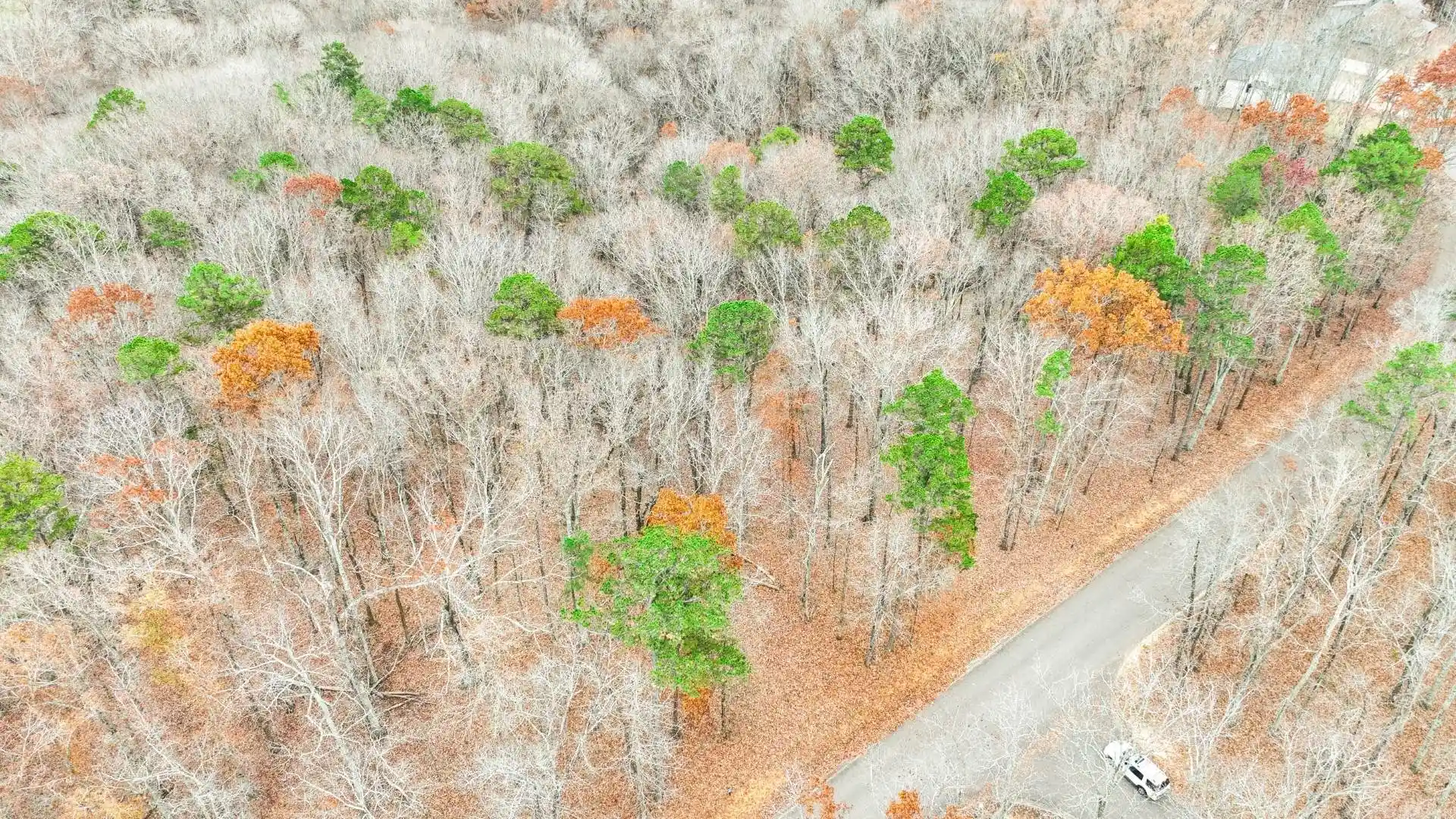 5th image of Lot 66 Preserve Blvd, Savannah, TN 38372 | MLS# 10210473
