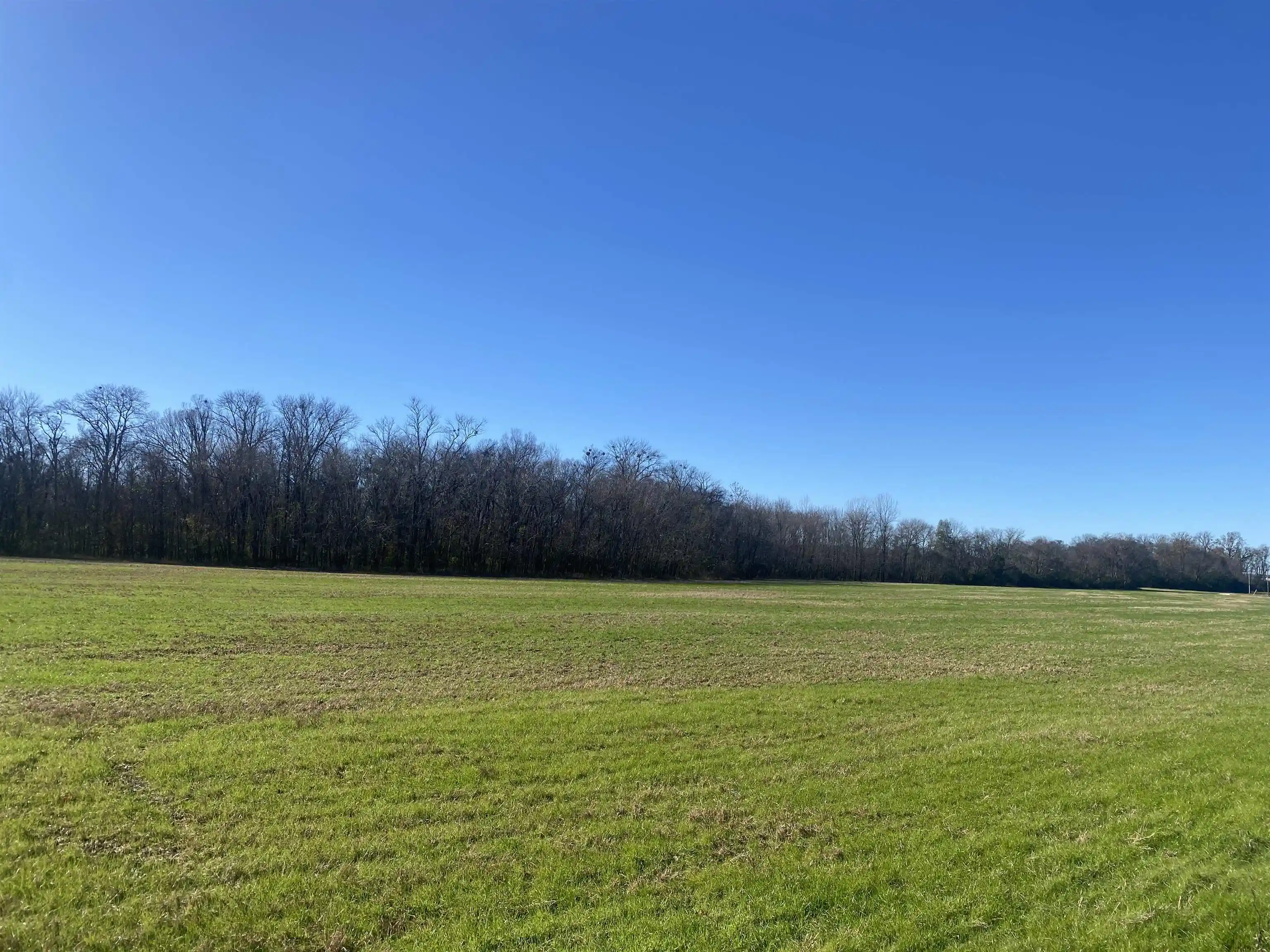 Photo 3 of Land for sale at 1 Bandit Way, Savannah, TN 38372 | MLS# 10210626 | Listing updated on 2026-08-20