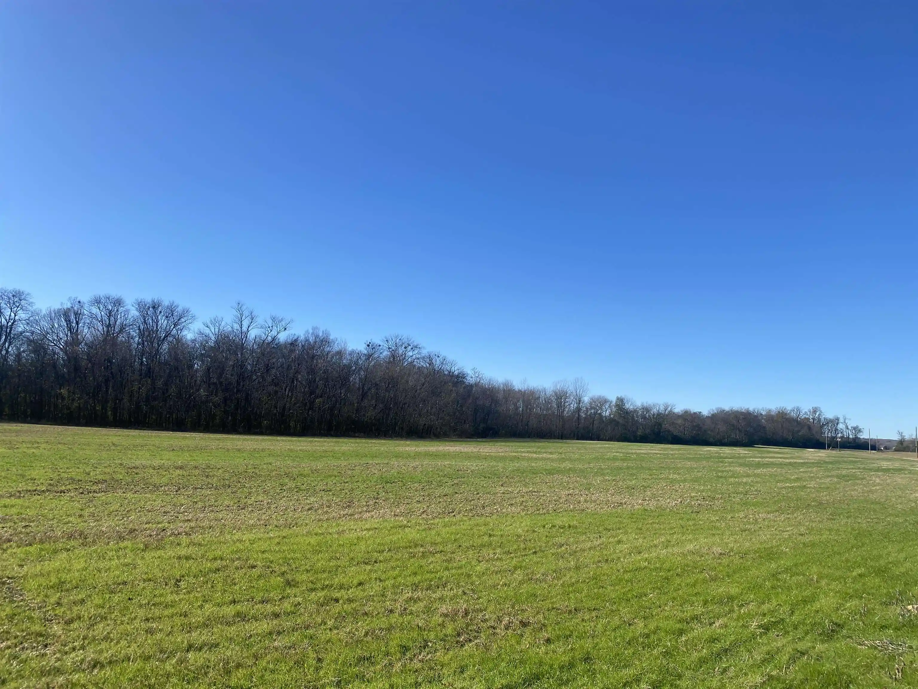 Photo 4 of Land for sale at 1 Bandit Way, Savannah, TN 38372 | MLS# 10210626 | Listing updated on 2026-08-20