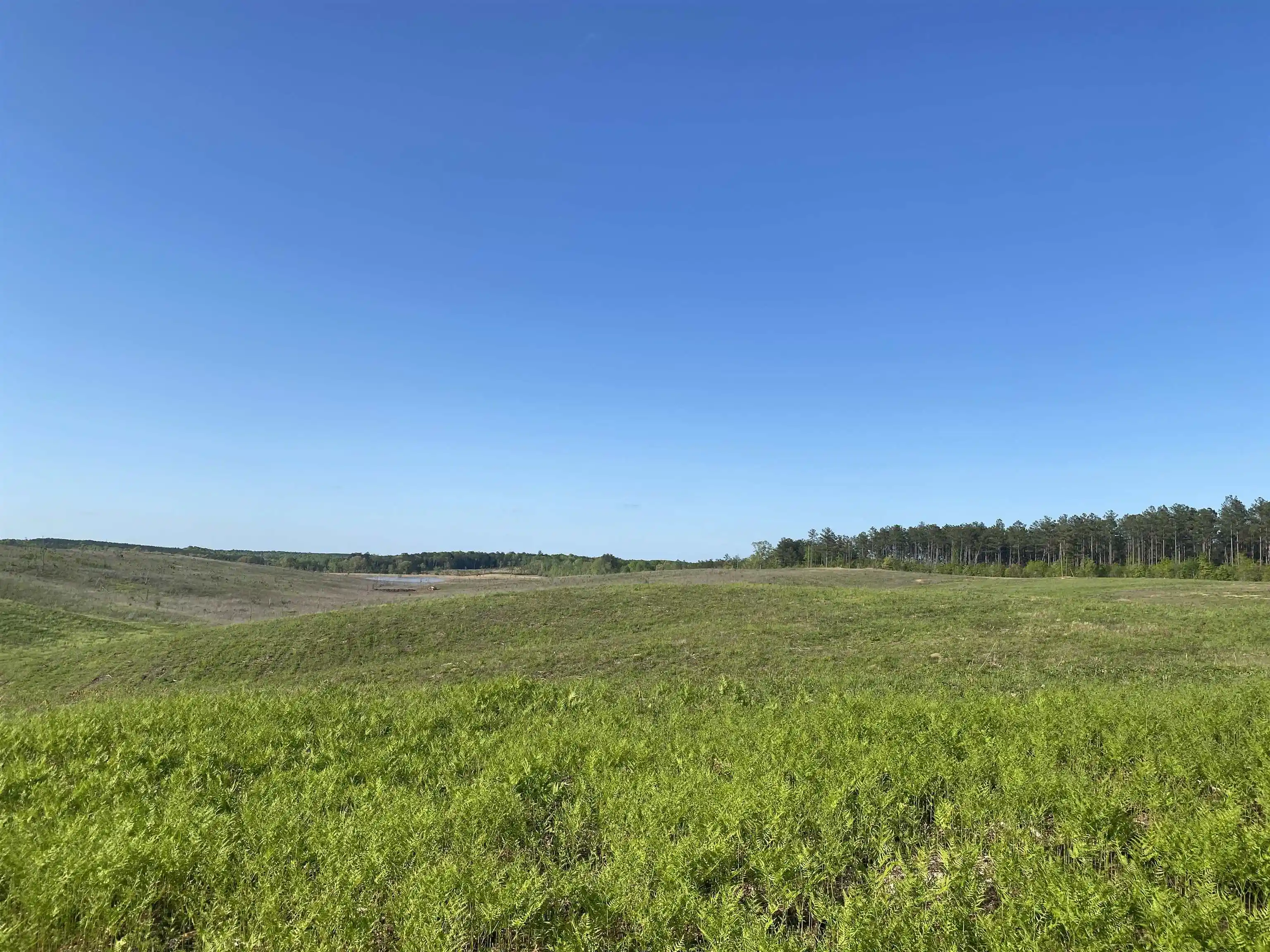 Homes for sale in Bethel Springs, TN | 1 Otis Paine Rd, Bethel Springs, TN 38315 | MLS# 10211155