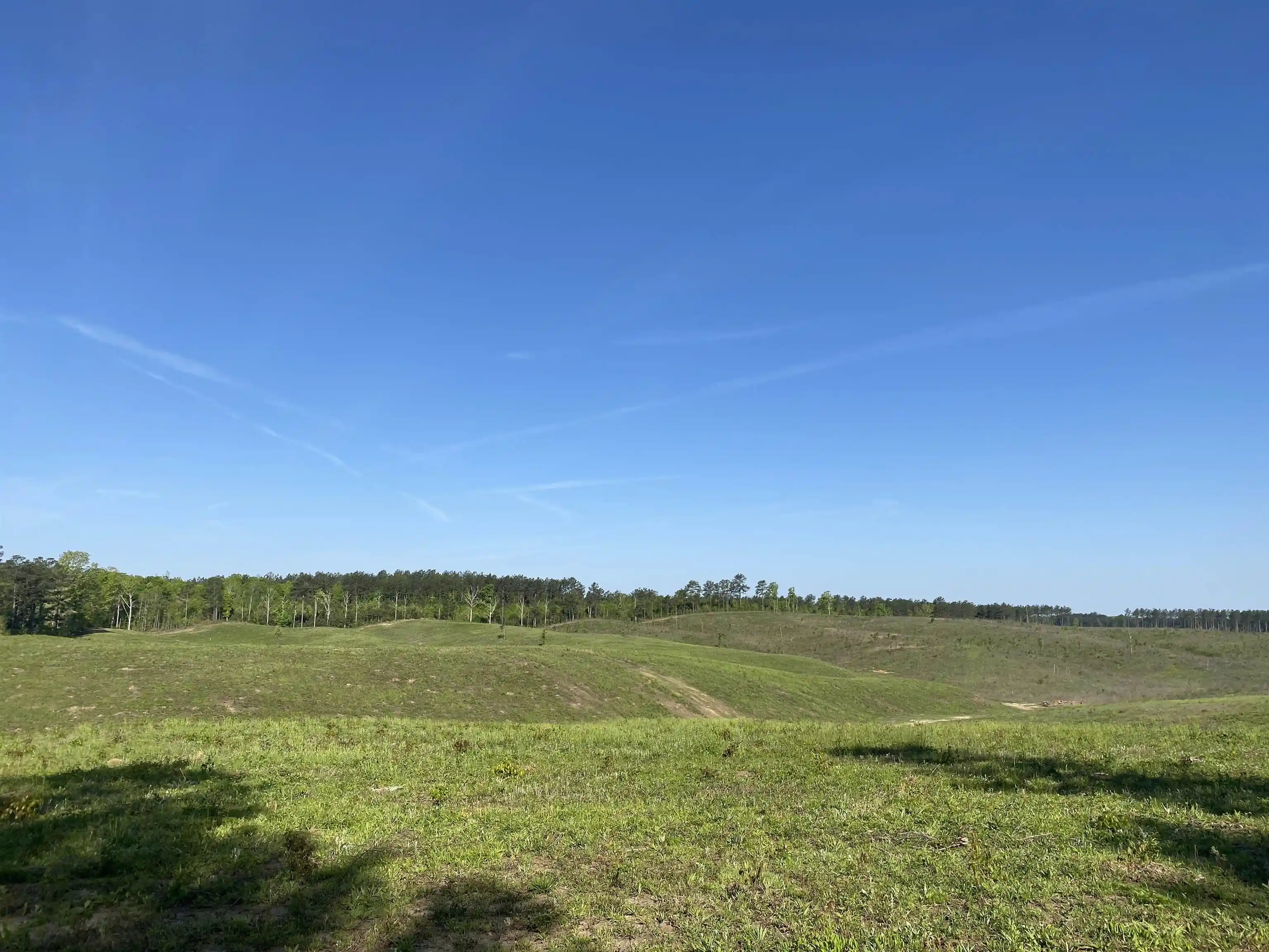 Homes for sale in Bethel Springs, TN | 2 Otis Paine Rd, Bethel Springs, TN 38315 | MLS# 10211175