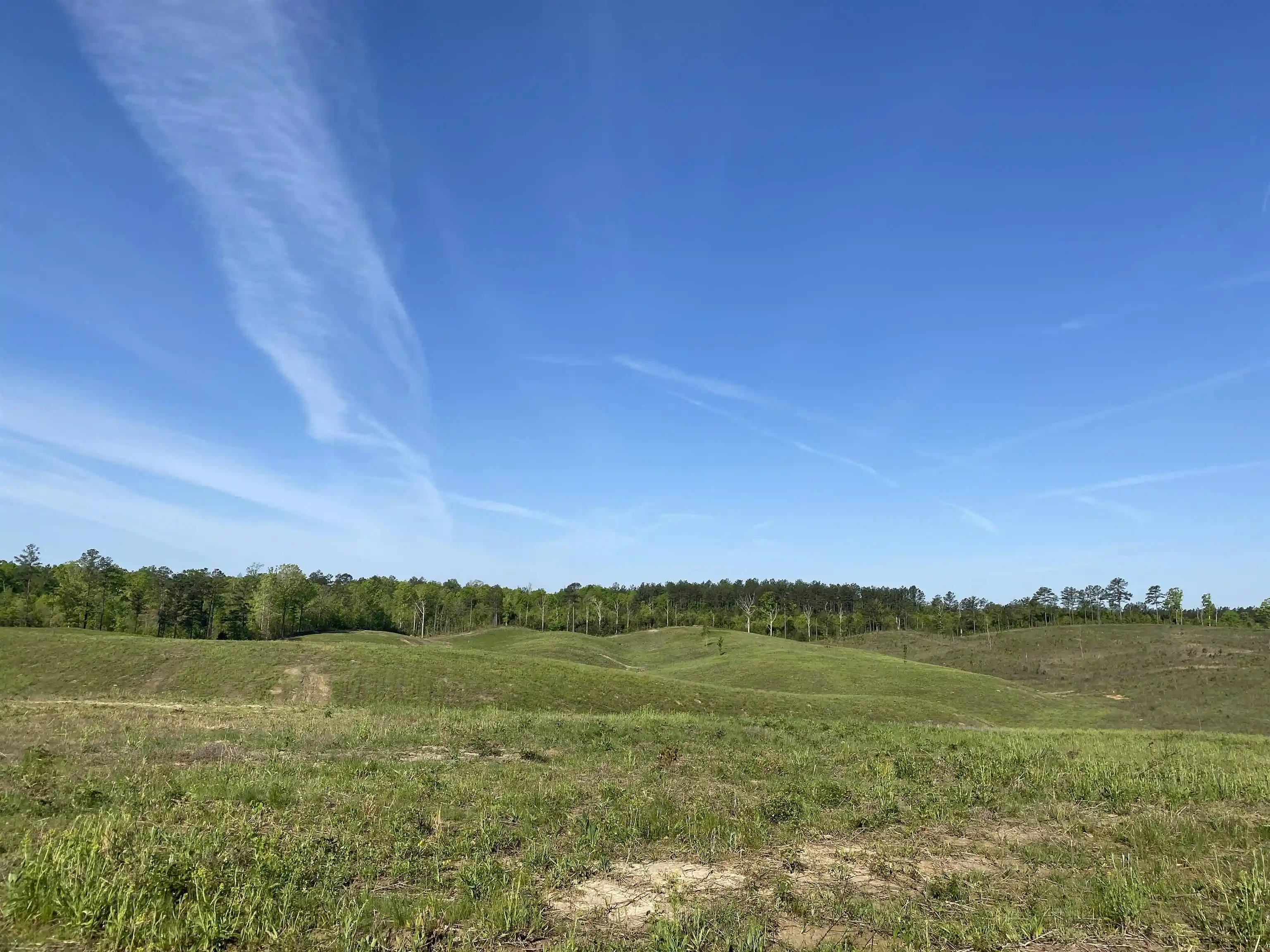 Homes for sale in Bethel Springs, TN | 2 Otis Paine Rd, Bethel Springs, TN 38315 | MLS# 10211175