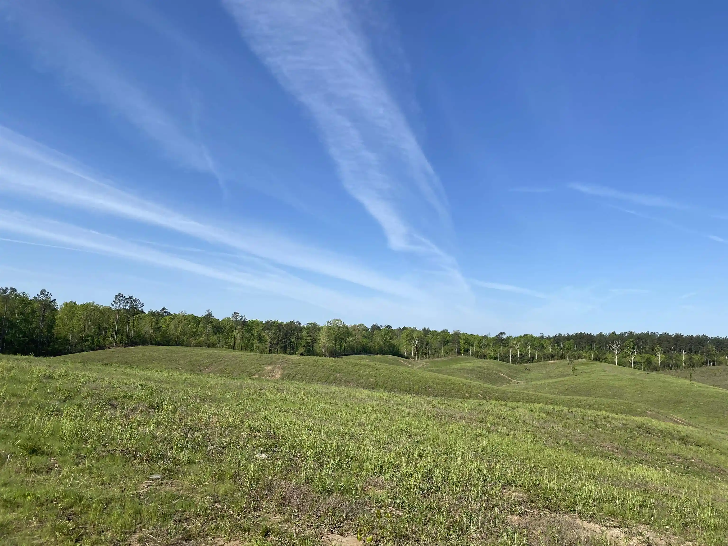 Homes for sale in Bethel Springs, TN | 2 Otis Paine Rd, Bethel Springs, TN 38315 | MLS# 10211175