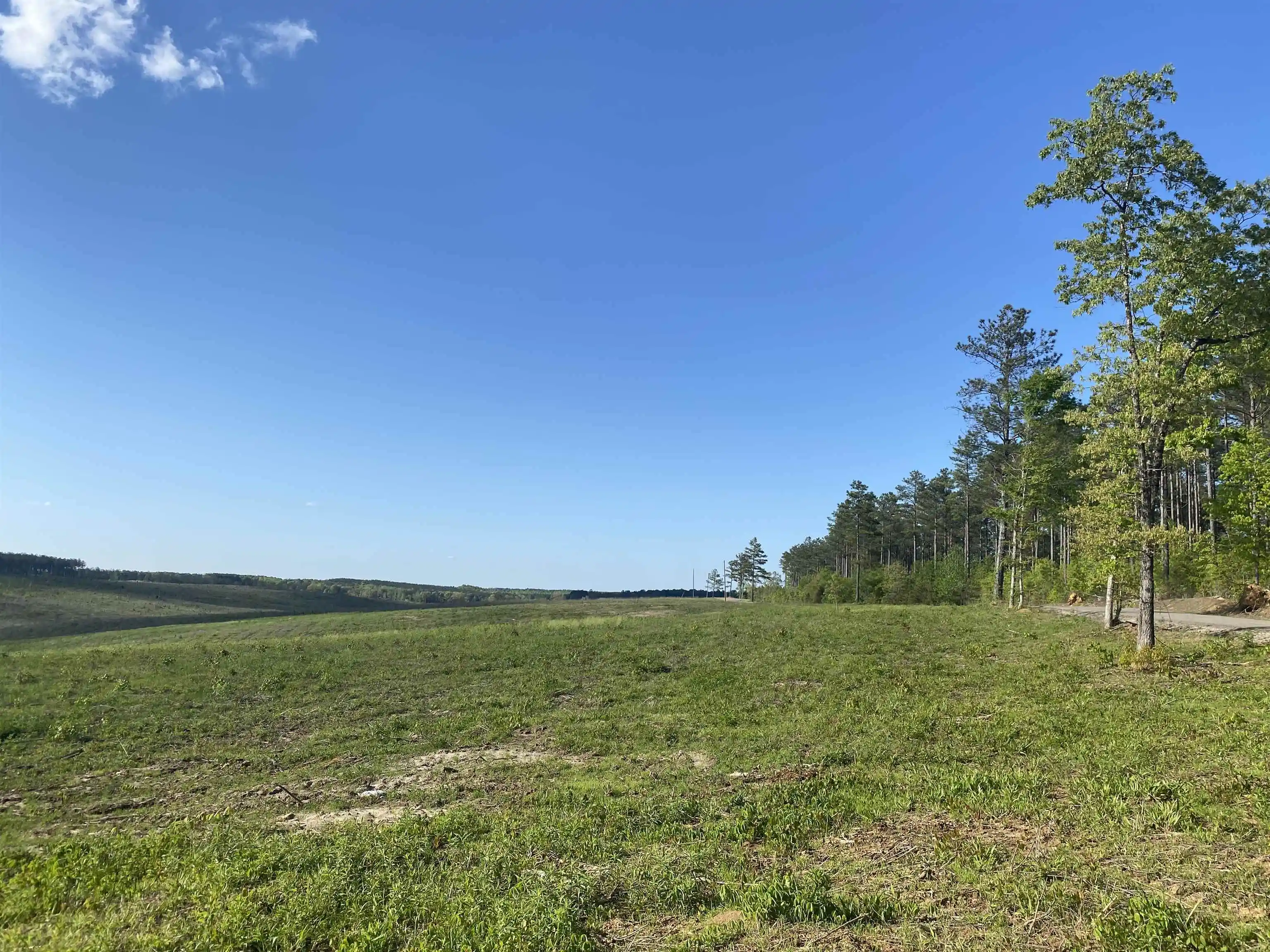 Homes for sale in Bethel Springs, TN | 7 Otis Paine Rd, Bethel Springs, TN 38315 | MLS# 10211183