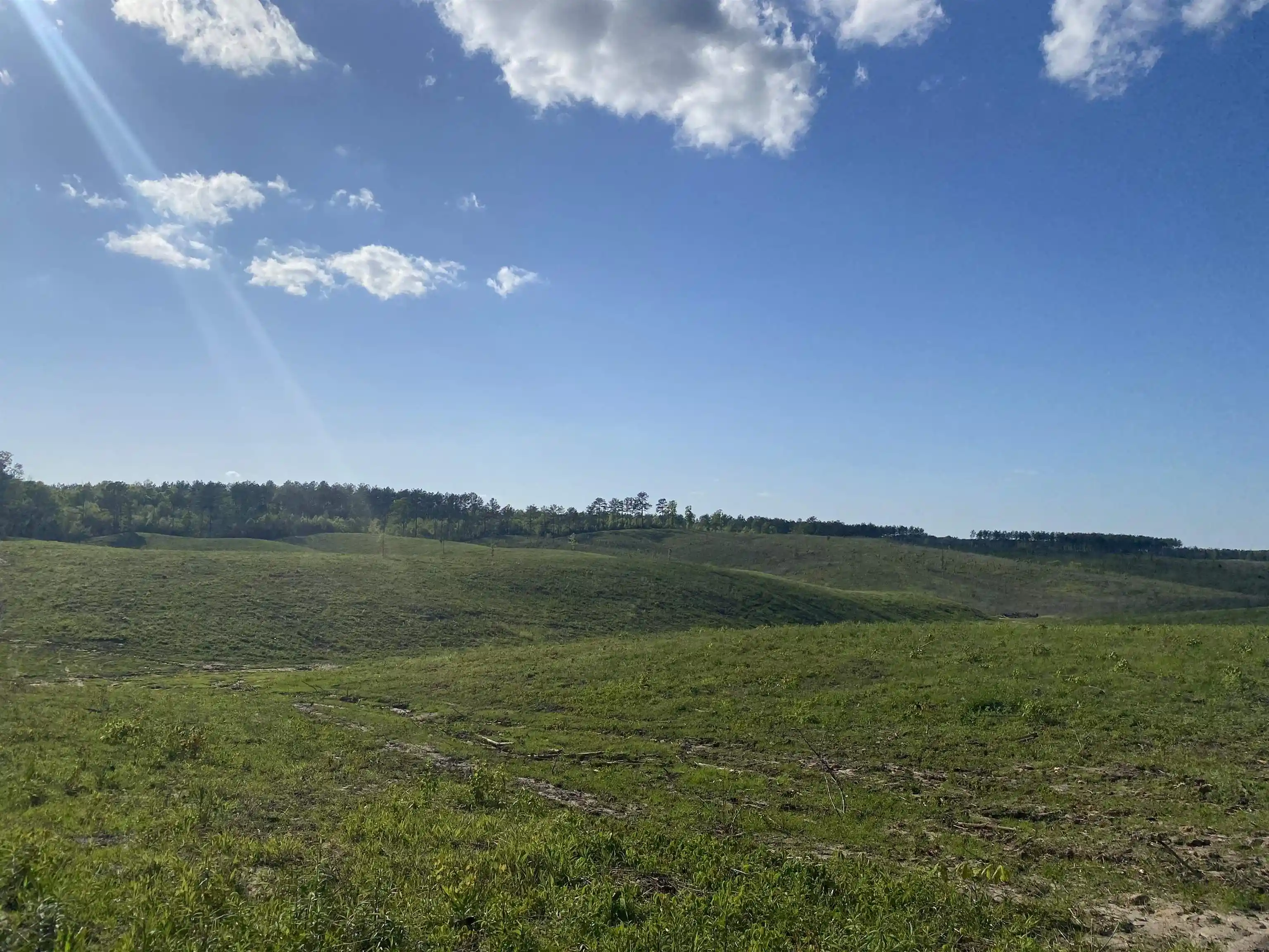 Homes for sale in Bethel Springs, TN | 7 Otis Paine Rd, Bethel Springs, TN 38315 | MLS# 10211183