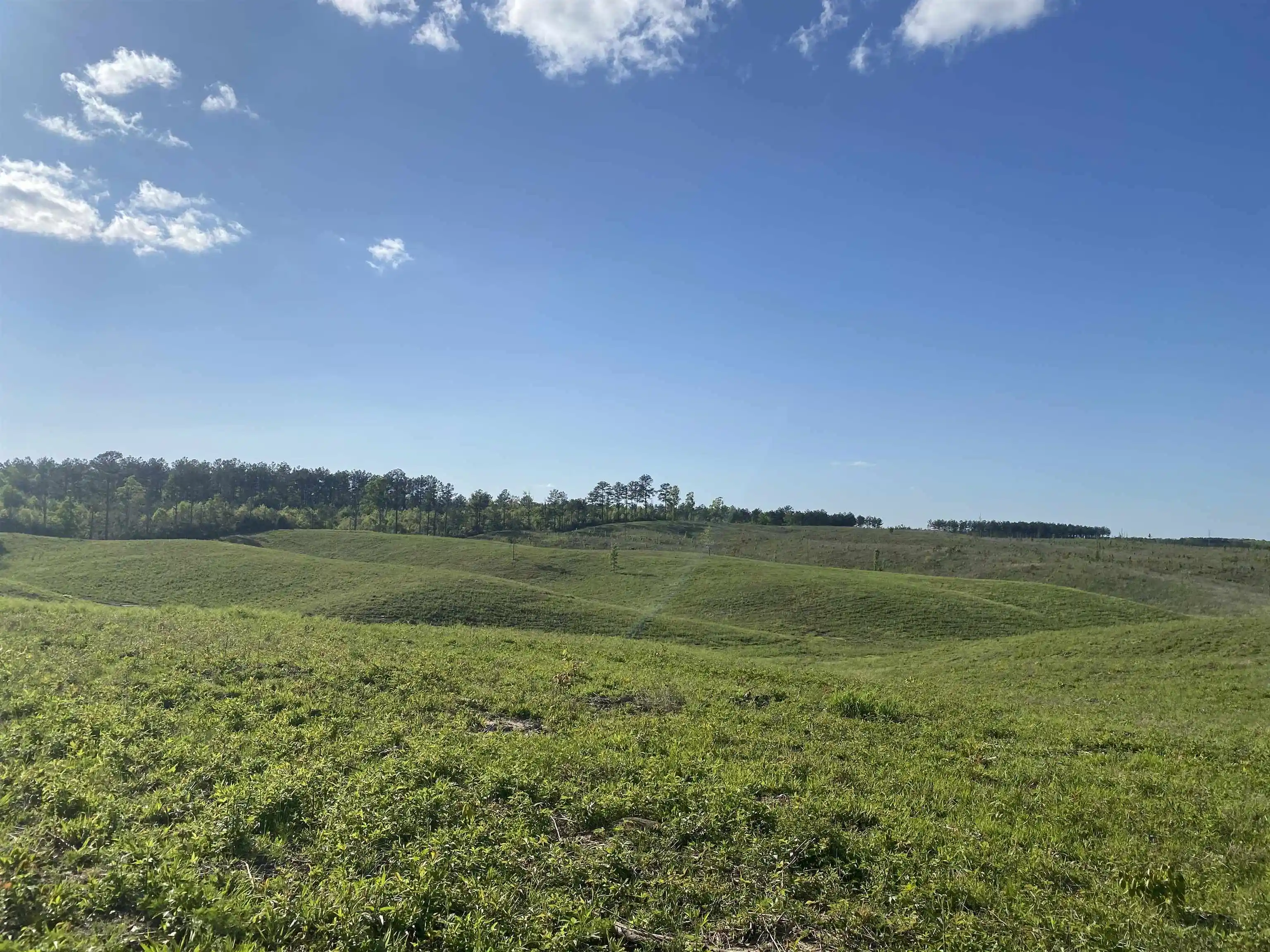 Homes for sale in Bethel Springs, TN | 7 Otis Paine Rd, Bethel Springs, TN 38315 | MLS# 10211183