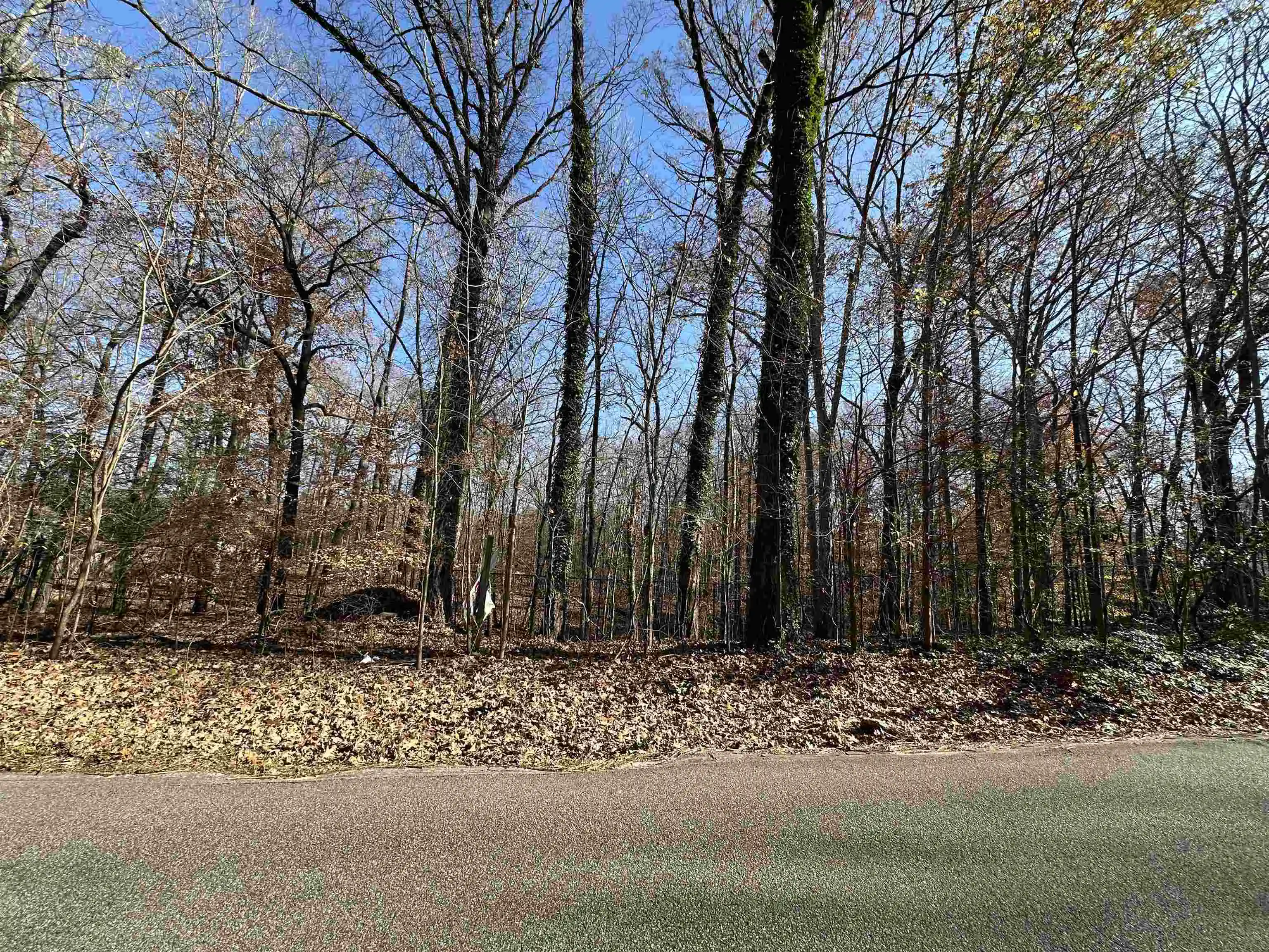 Land for sale at 580 E Rocky Point Dr, Cordova, TN 38018 | MLS# 10211322