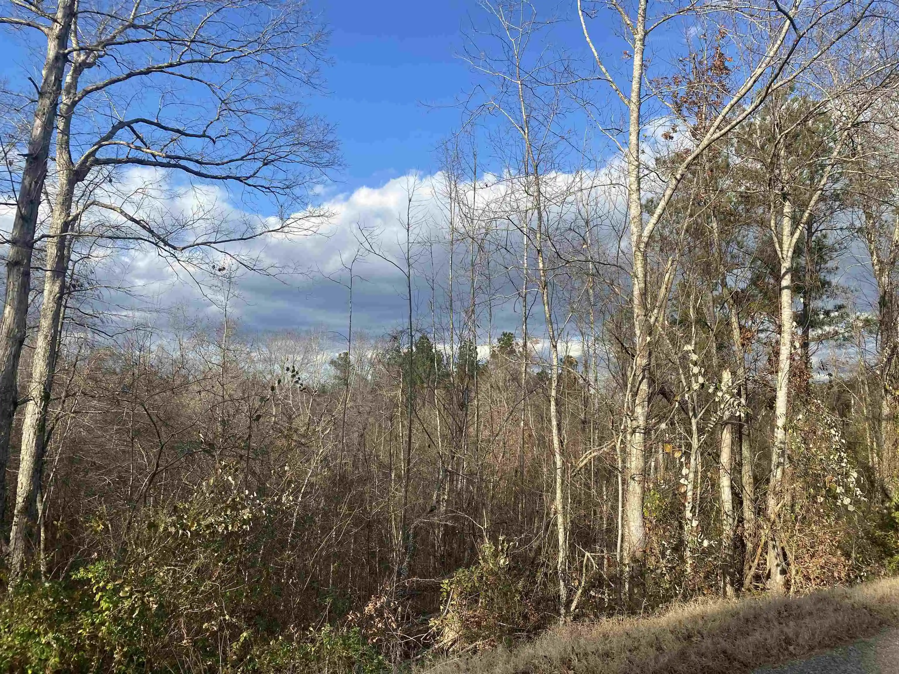 4th image of 1 Rose Creek Rd, Selmer, TN 38375 | MLS# 10211442