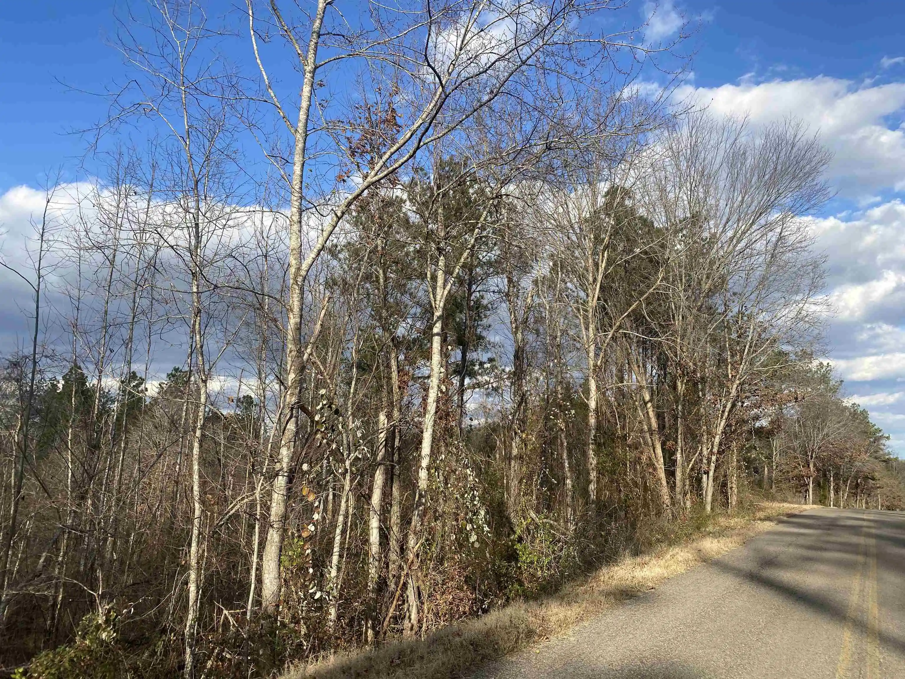 5th image of 1 Rose Creek Rd, Selmer, TN 38375 | MLS# 10211442