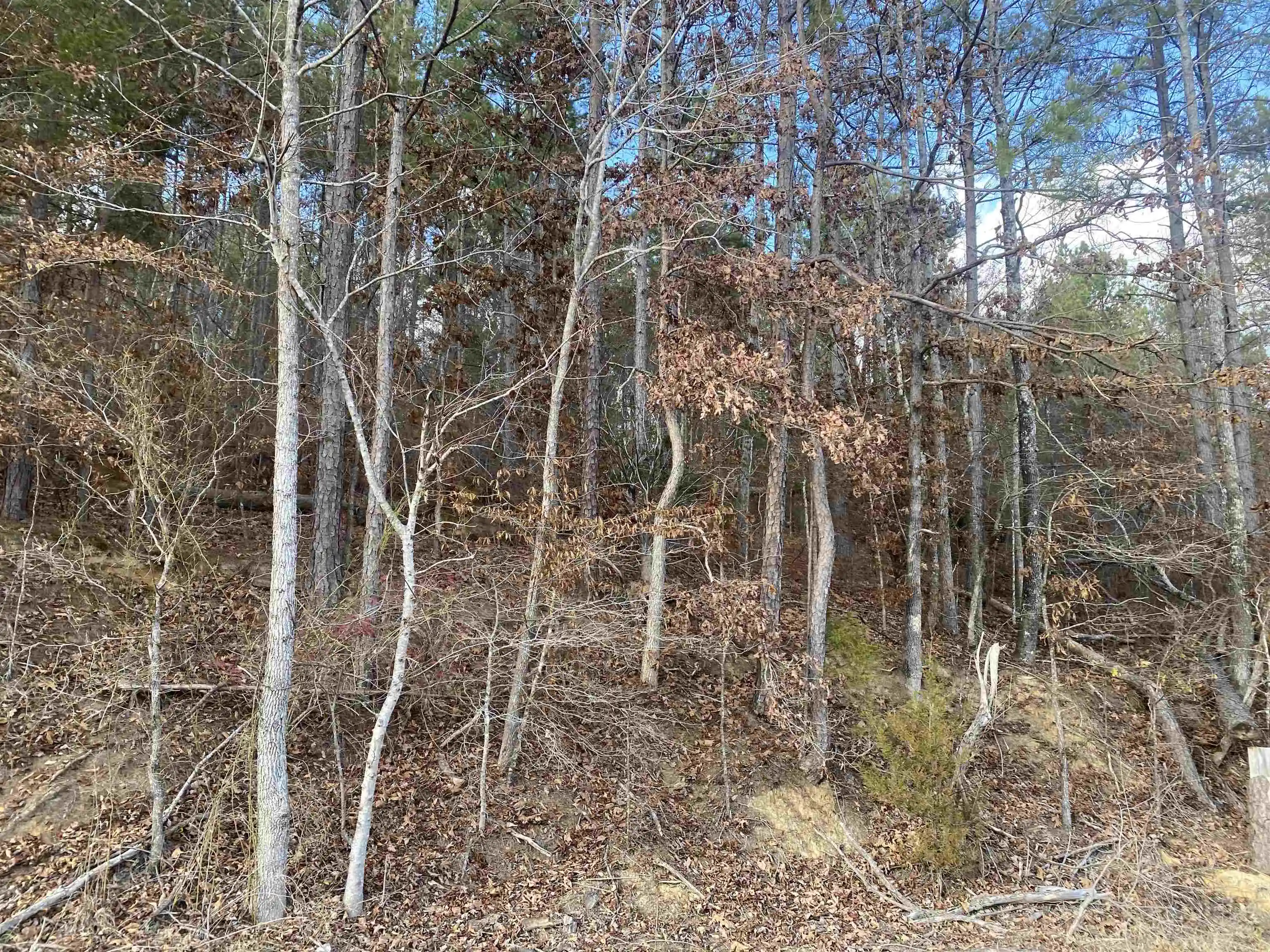 Photo 3 of Land for sale at 2 Rose Crk Rd, Selmer, TN 38375 | MLS# 10211451 | Listing updated on 2026-07-13