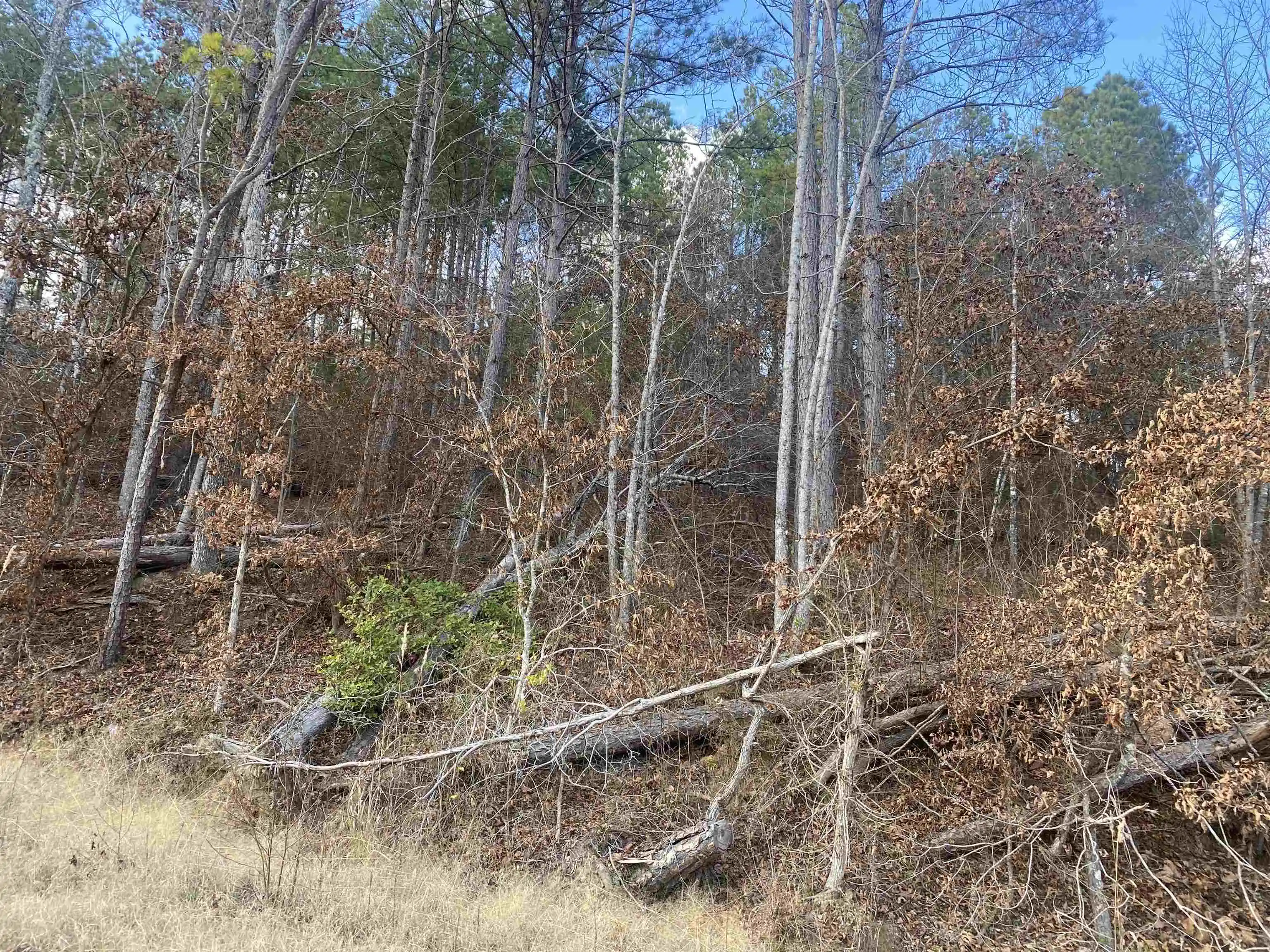 Photo 3 of Land for sale at 2 Rose Crk Rd, Selmer, TN 38375 | MLS# 10211451 | Listing updated on 2026-07-13