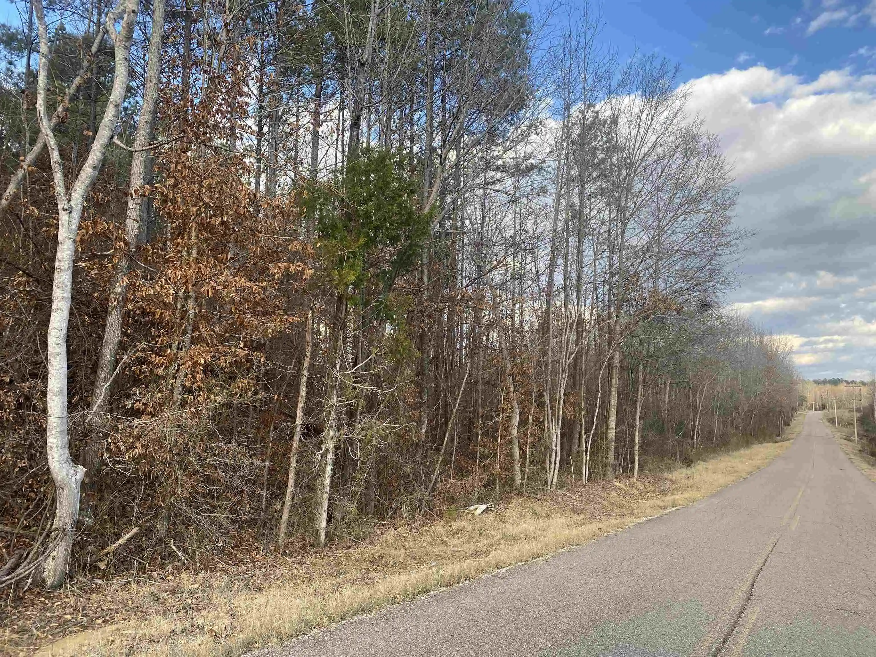 Photo 3 of Land for sale at 3 Rose Crk Rd, Selmer, TN 38375 | MLS# 10211461 | Listing updated on 2026-07-13
