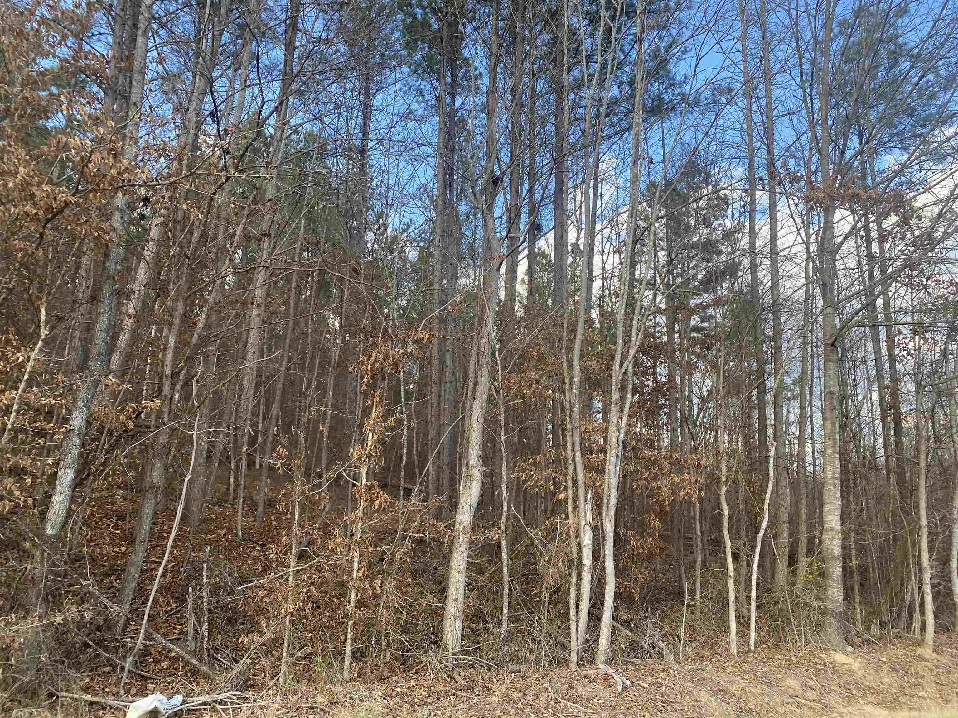 Photo 3 of Land for sale at 3 Rose Crk Rd, Selmer, TN 38375 | MLS# 10211461 | Listing updated on 2026-07-13