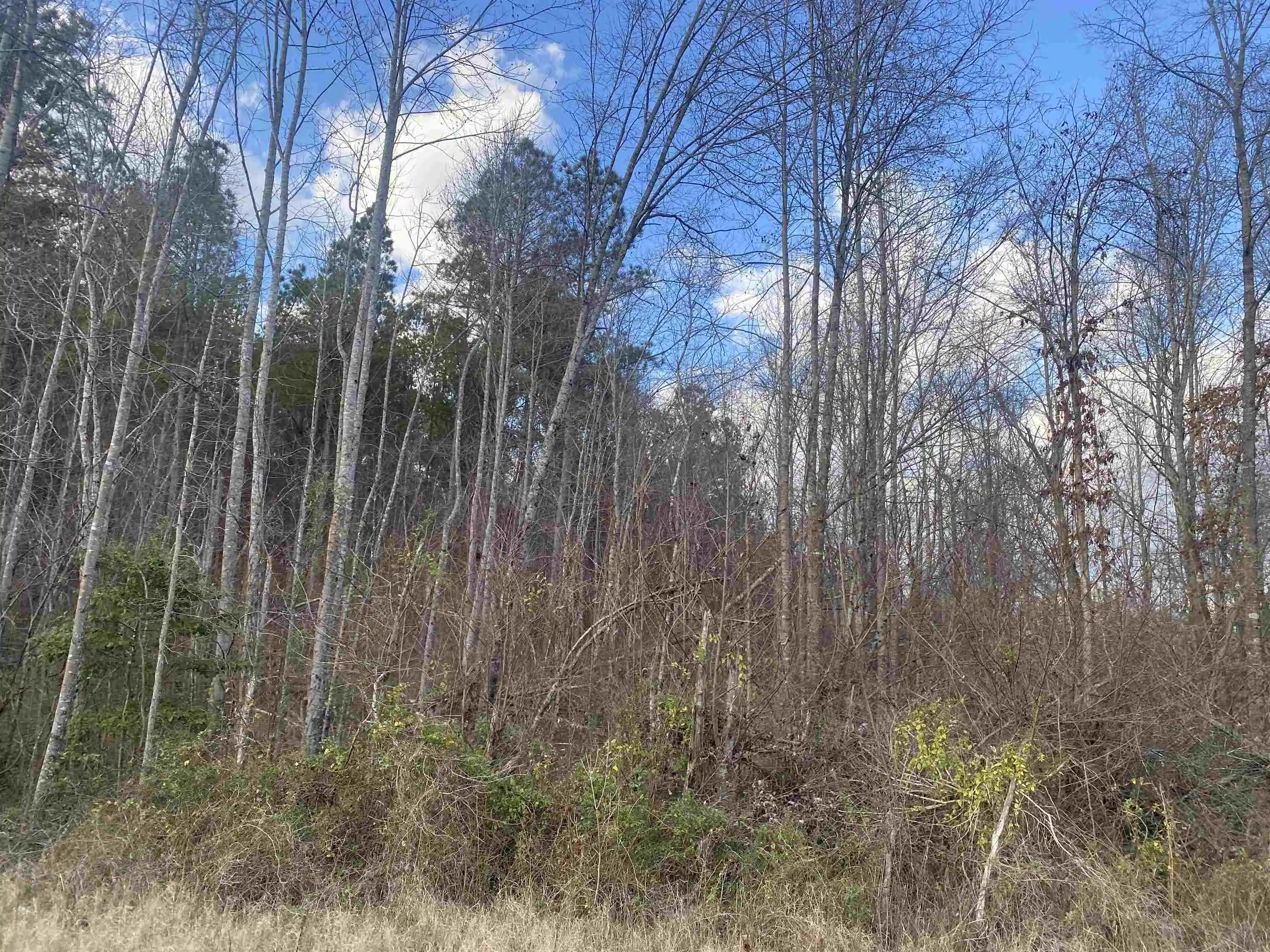 Photo 4 of Land for sale at 3 Rose Crk Rd, Selmer, TN 38375 | MLS# 10211461 | Listing updated on 2026-07-13