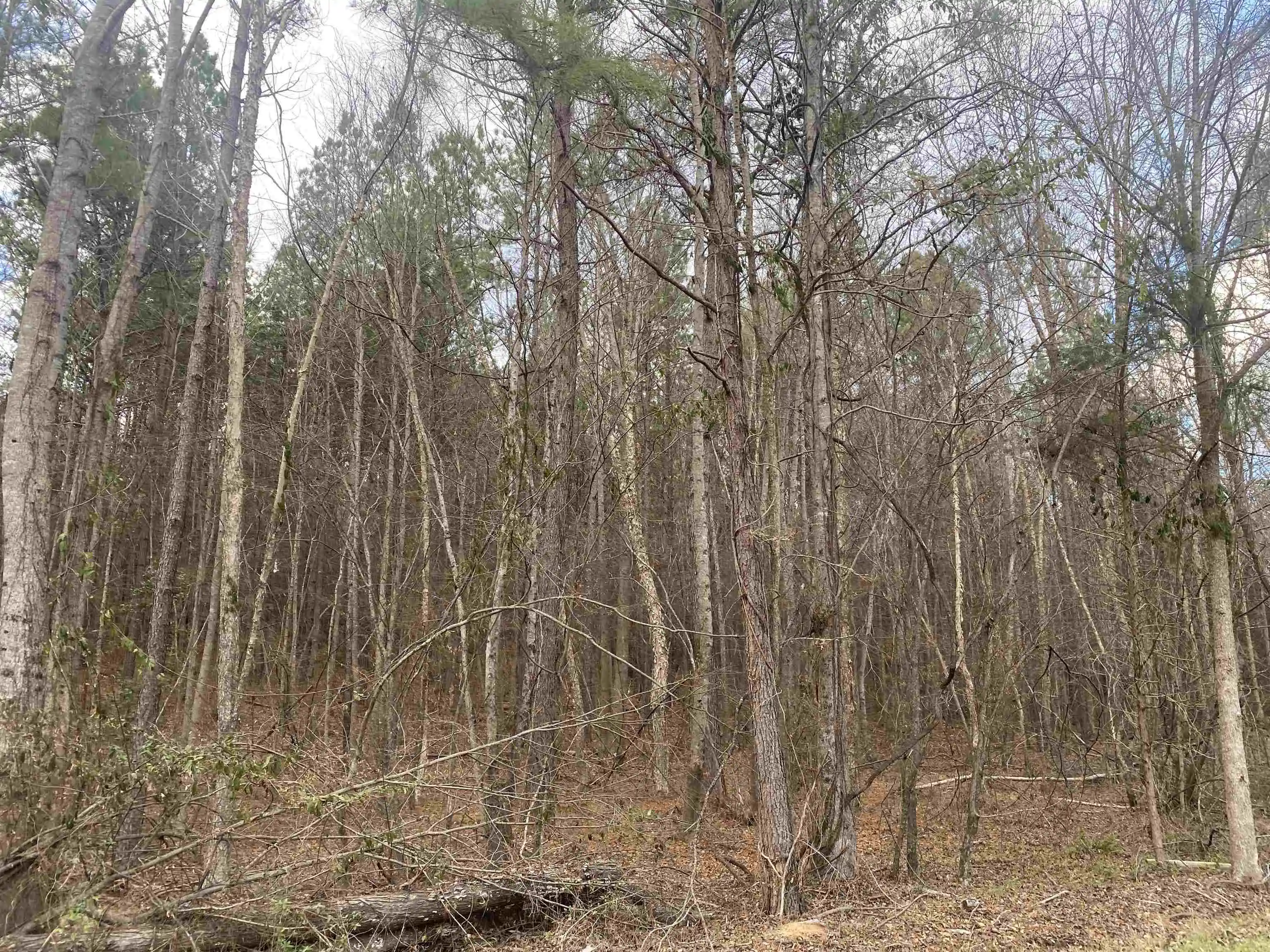 3rd image of 9 Rose Creek Rd, Selmer, TN 38375 | MLS# 10211600