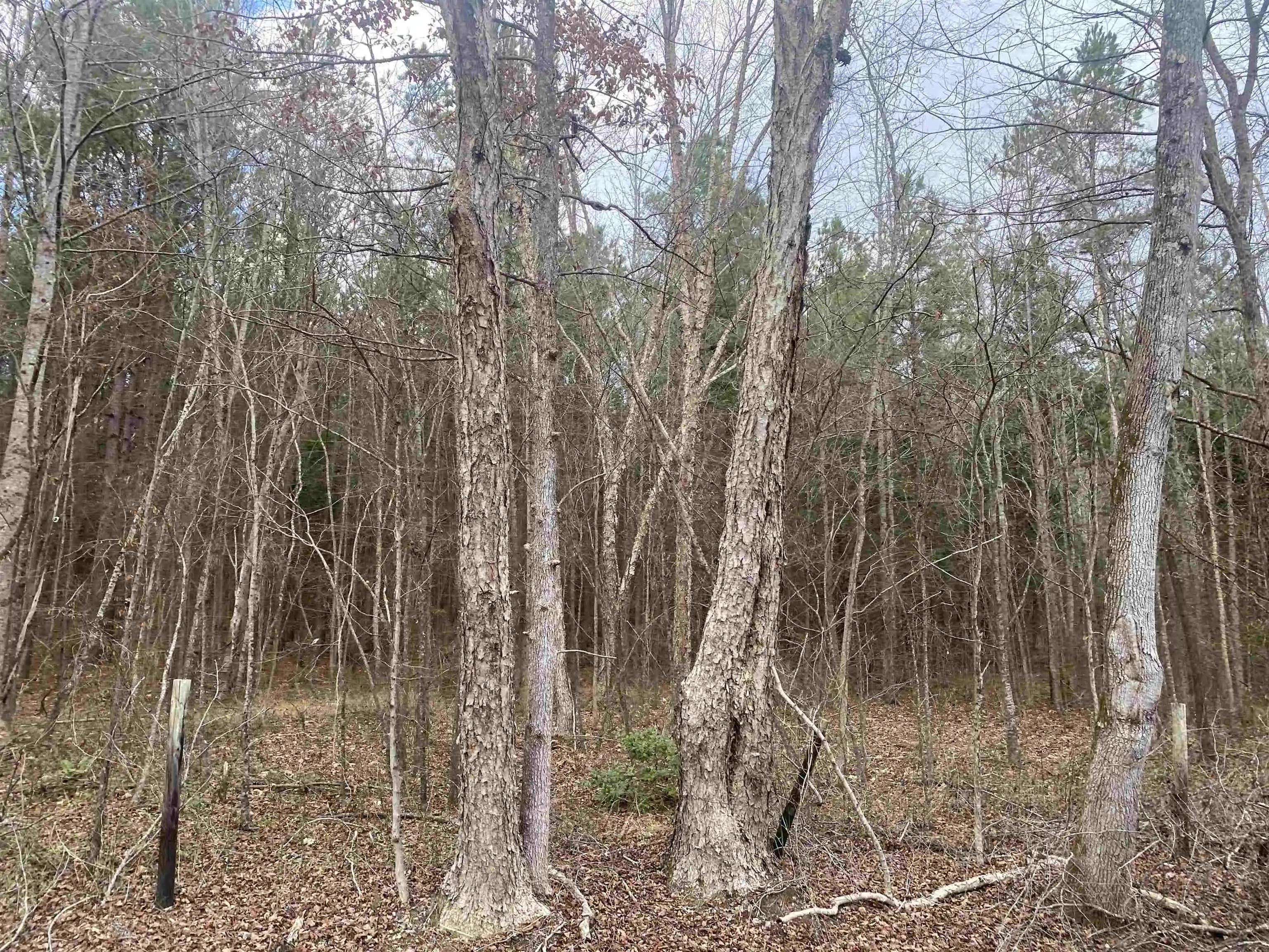5th image of 9 Rose Creek Rd, Selmer, TN 38375 | MLS# 10211600