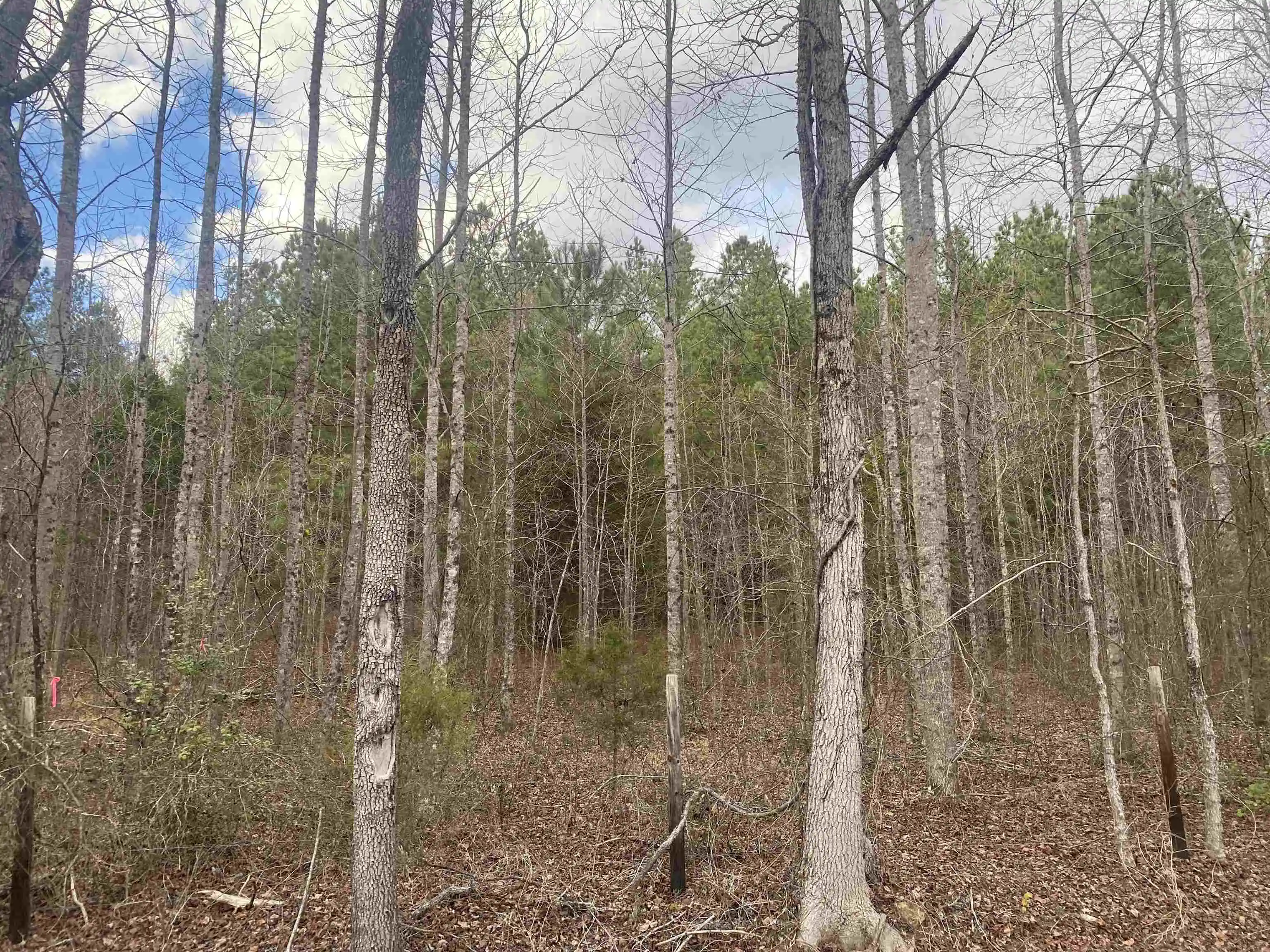 Photo 3 of Land for sale at 10 Rose Crk Rd, Selmer, TN 38375 | MLS# 10211605 | Listing updated on 2026-07-13