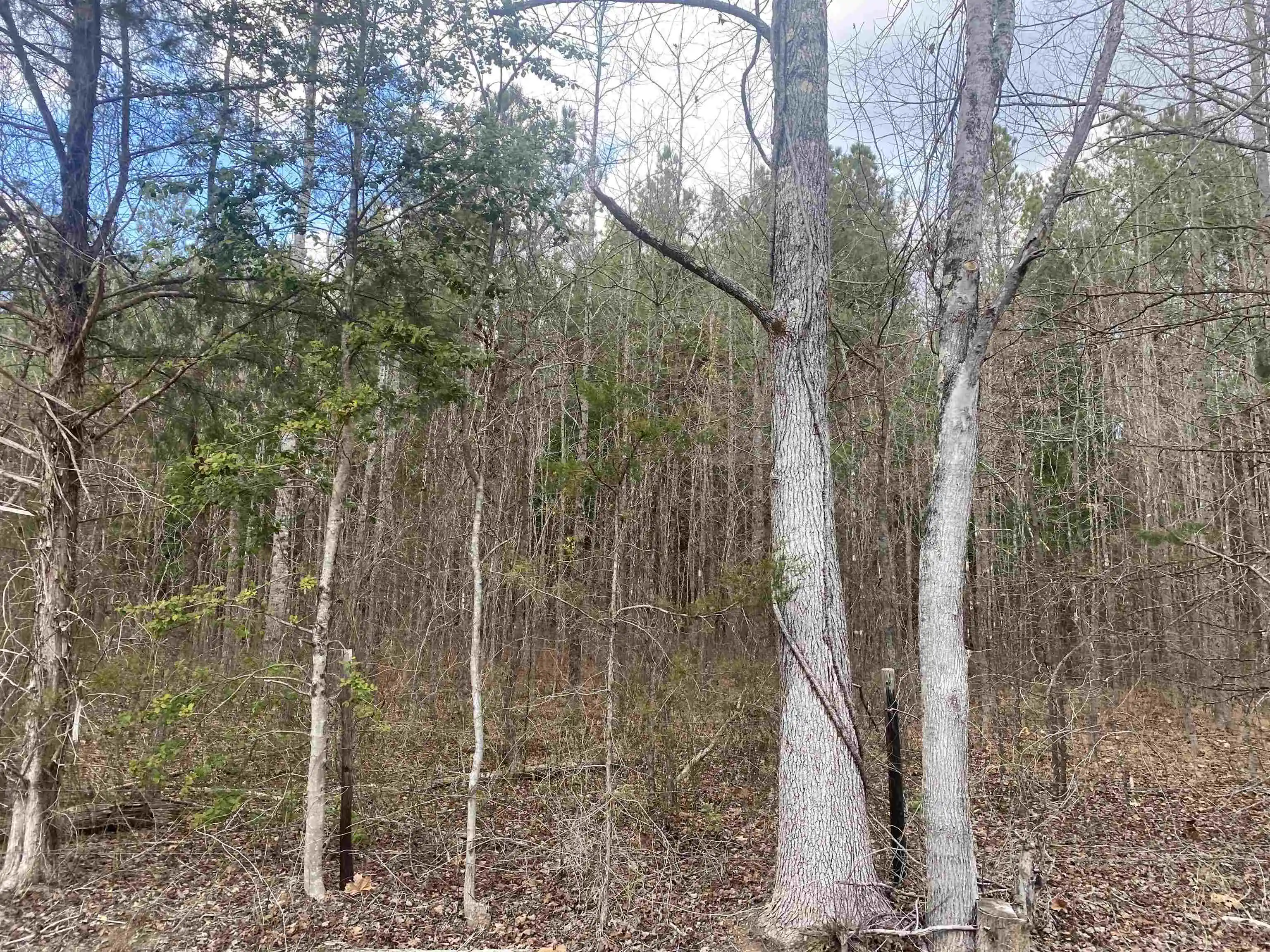 Photo 4 of Land for sale at 10 Rose Crk Rd, Selmer, TN 38375 | MLS# 10211605 | Listing updated on 2026-07-13