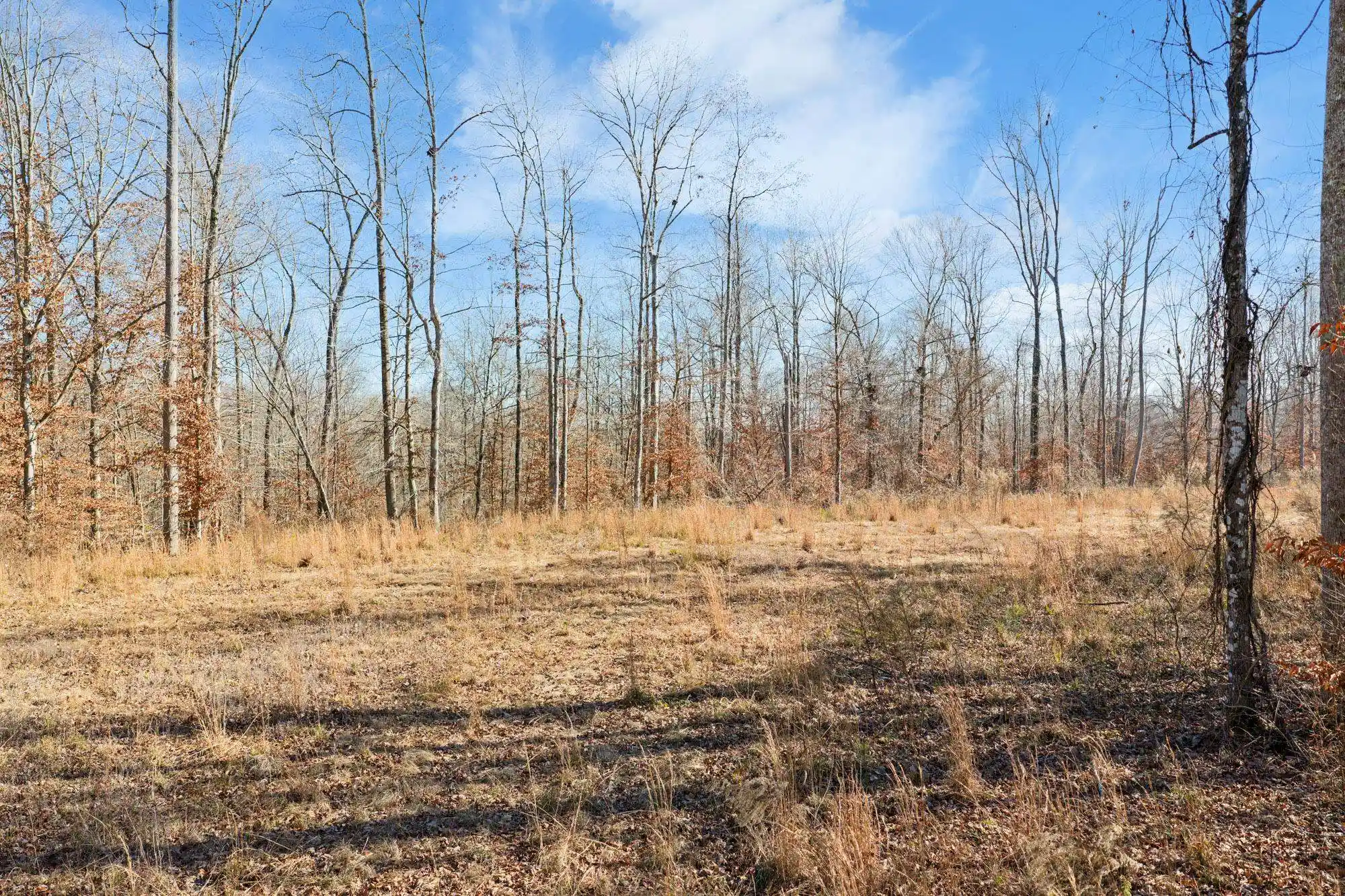 1st image of 00 Holladay Rd, Parsons, TN 38363 | MLS# 10212491