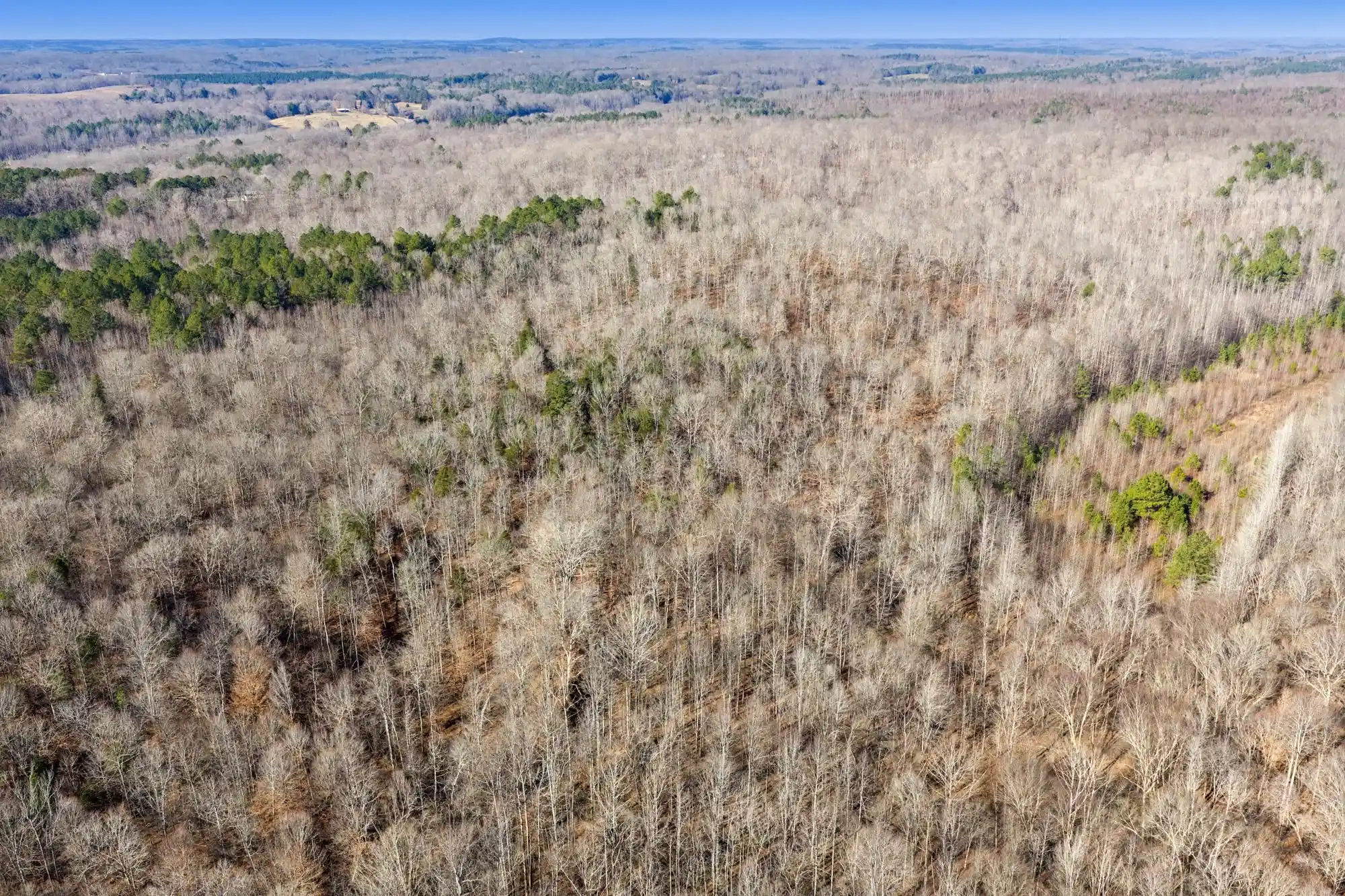2nd image of 00 Holladay Rd, Parsons, TN 38363 | MLS# 10212491