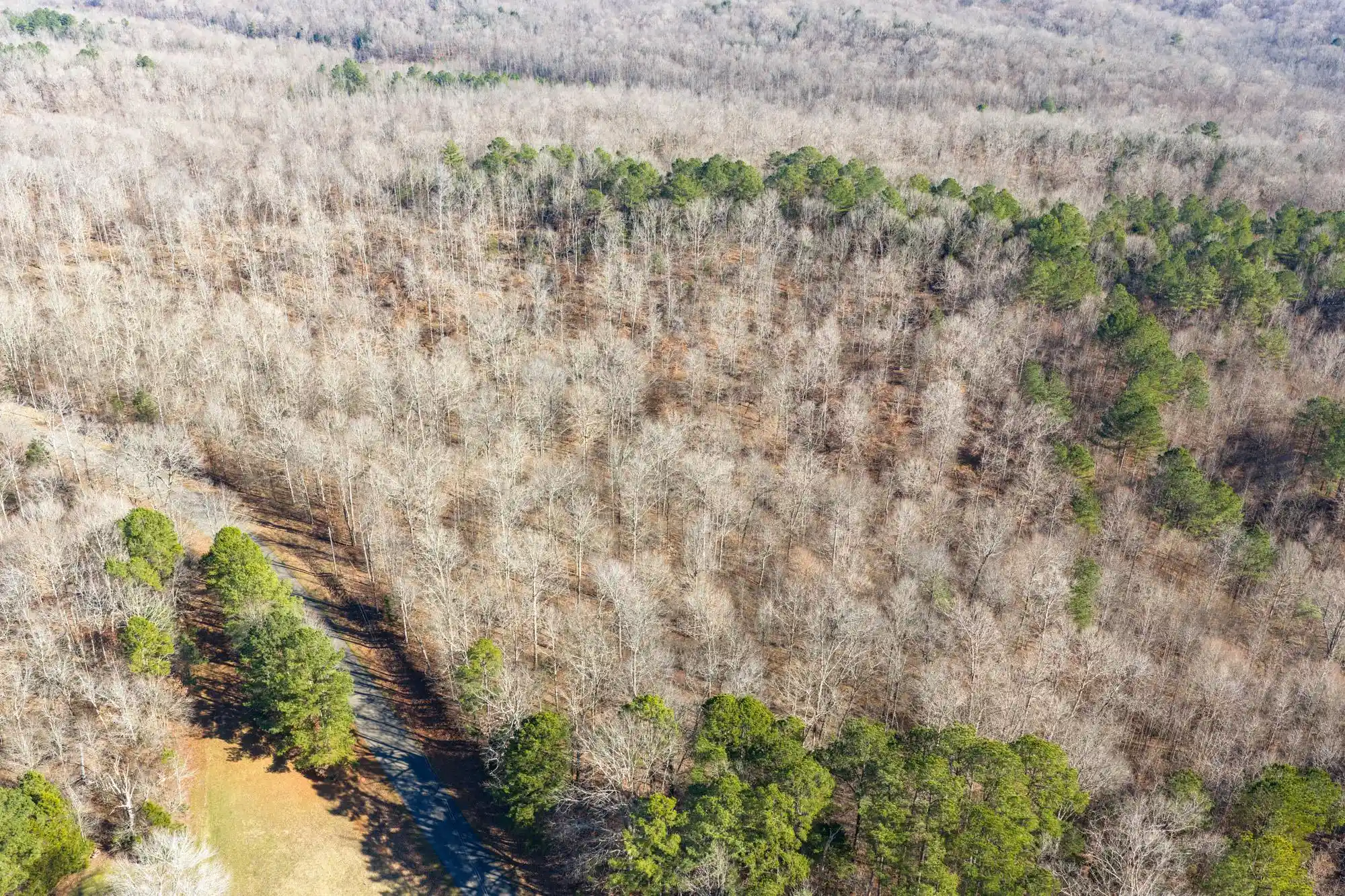 Photo 3 of Land for sale at 00 Holladay Rd, Parsons, TN 38363 | MLS# 10212491 | Listing updated on 2026-08-11