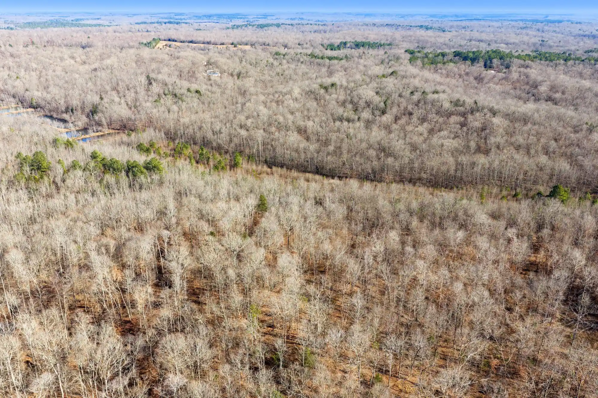 Photo 3 of Land for sale at 00 Holladay Rd, Parsons, TN 38363 | MLS# 10212491 | Listing updated on 2026-08-11
