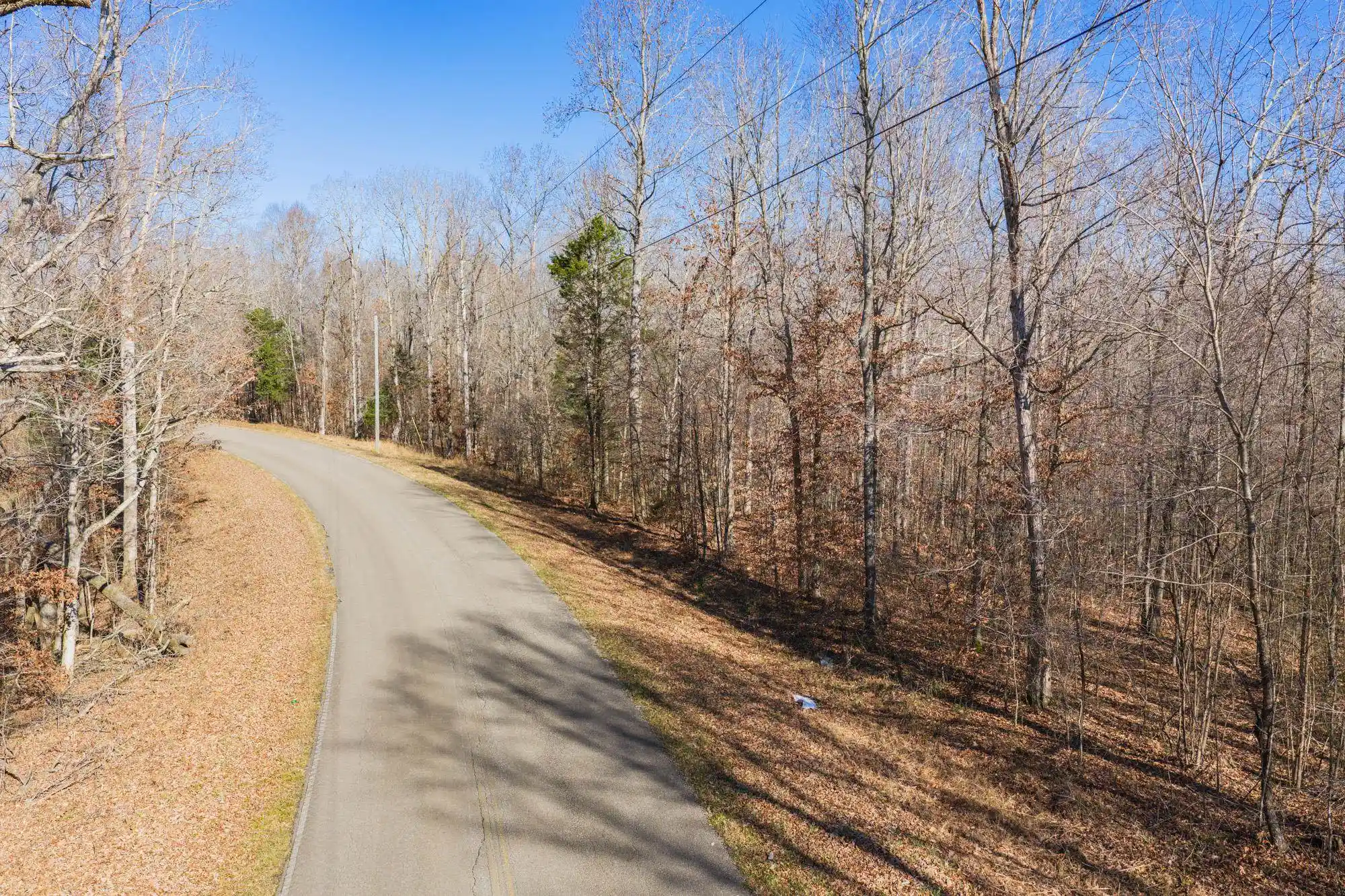 Photo 4 of Land for sale at 00 Holladay Rd, Parsons, TN 38363 | MLS# 10212491 | Listing updated on 2026-08-11
