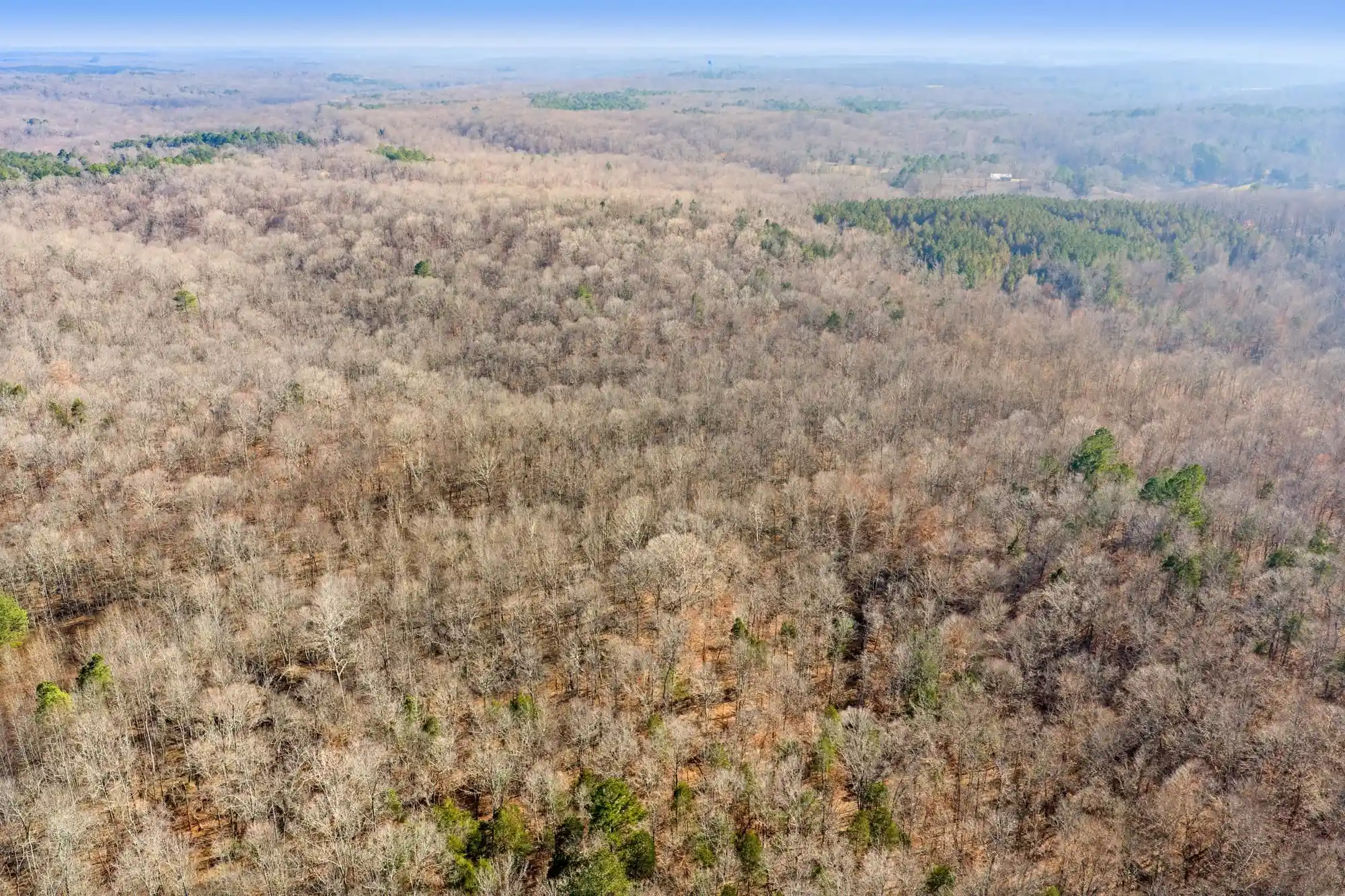 16th image of 00 Holladay Rd, Parsons, TN 38363 | MLS# 10212491