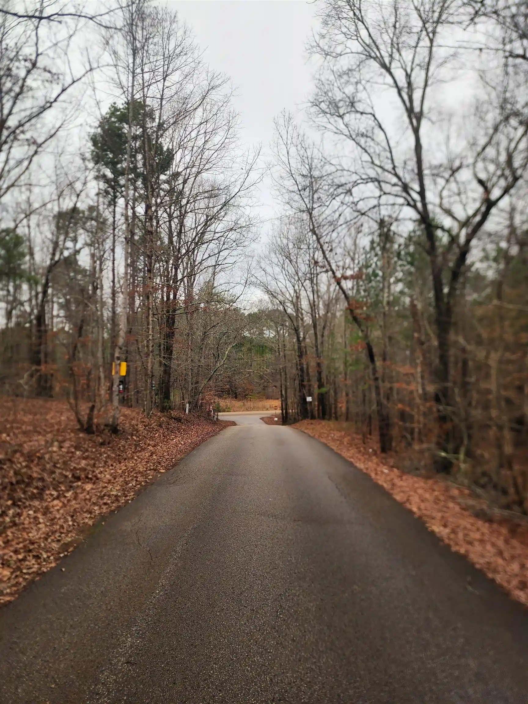2nd image of 0 Hwy57/riverdale Rd Hwy, Counce, TN 38326 | MLS# 10212988