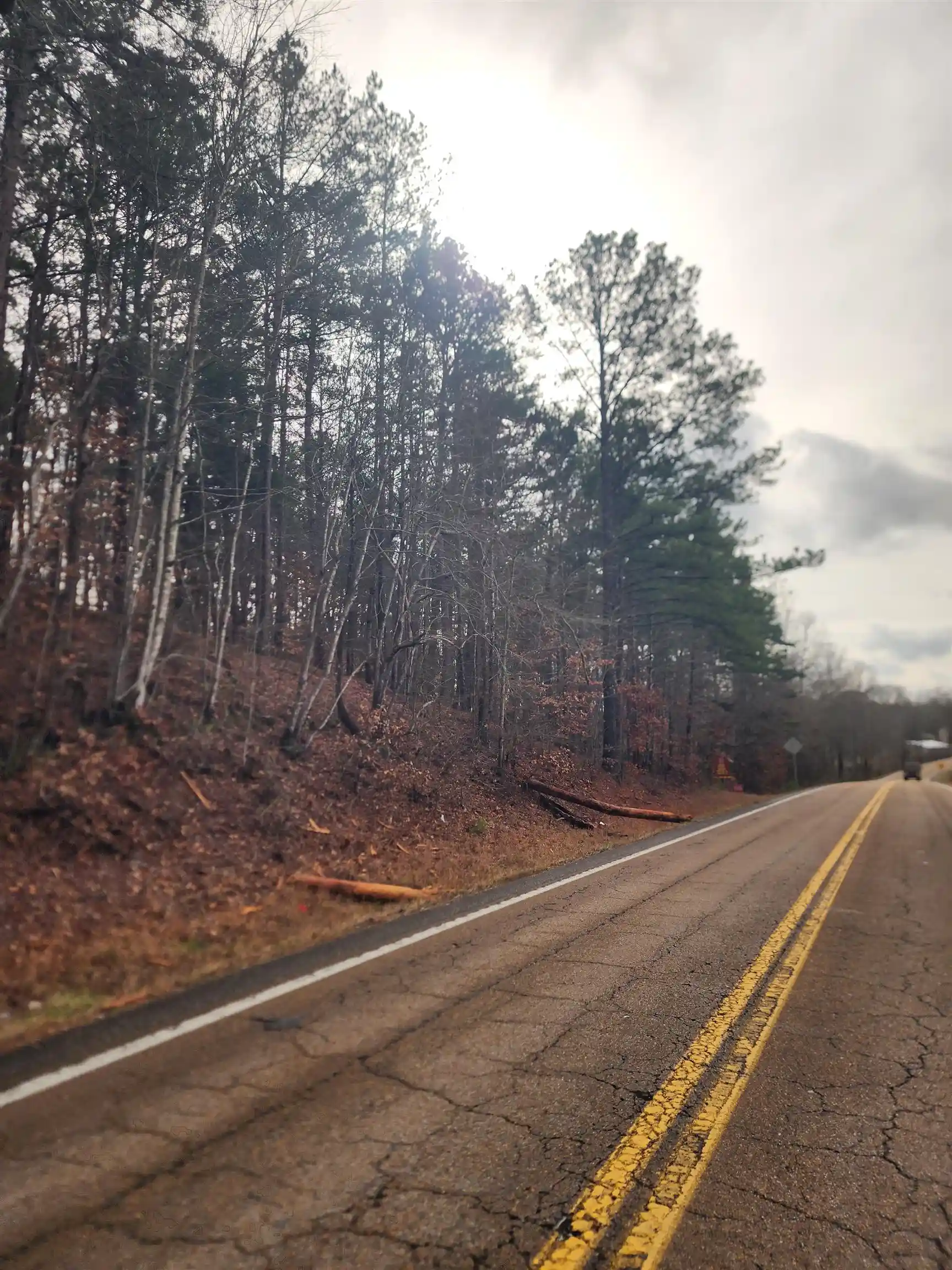4th image of 0 Hwy57/Riverdale Rd Hwy, Counce, TN 38326 | MLS# 10212988
