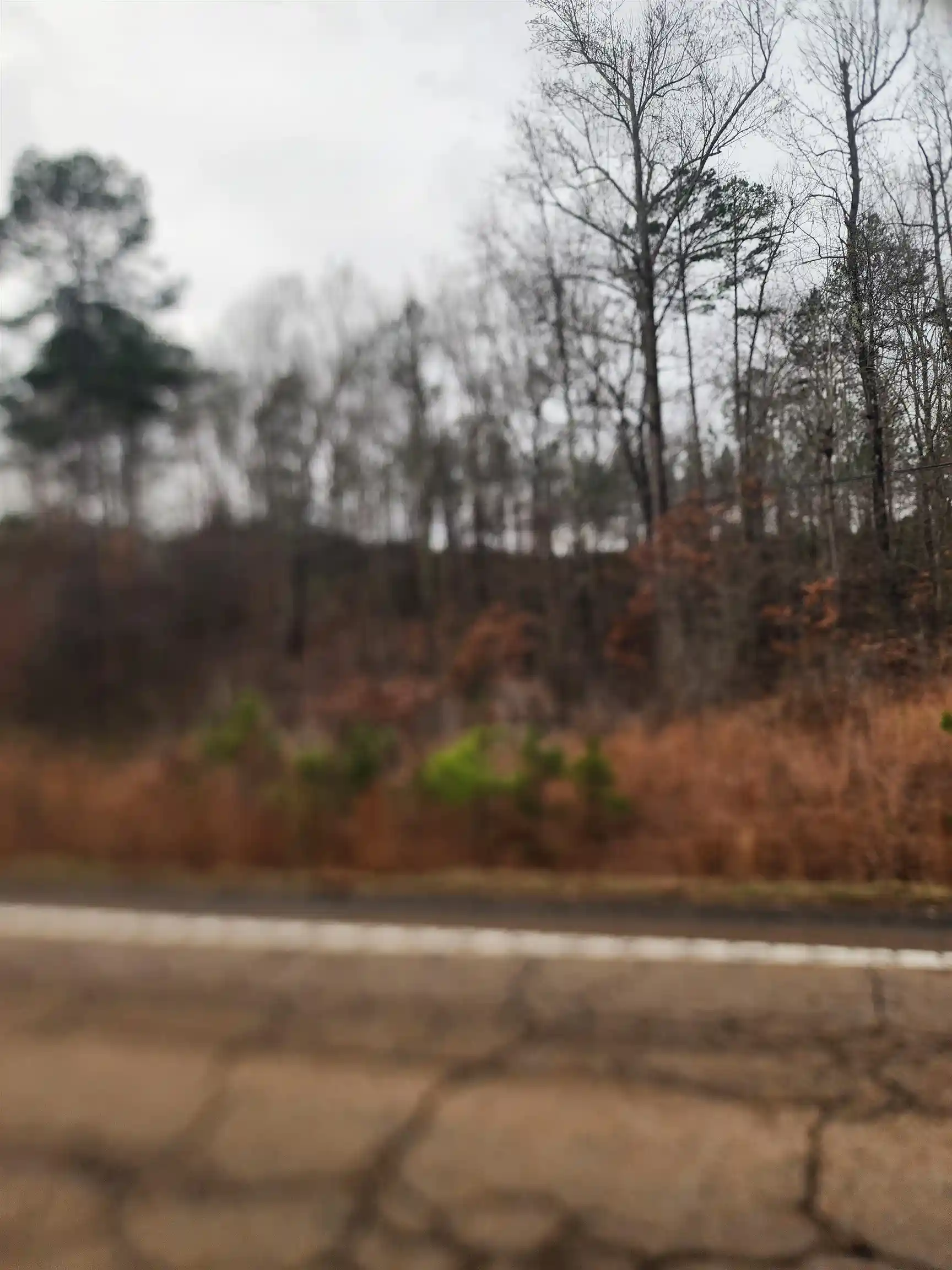 11th image of 0 Hwy57/riverdale Rd Hwy, Counce, TN 38326 | MLS# 10212988