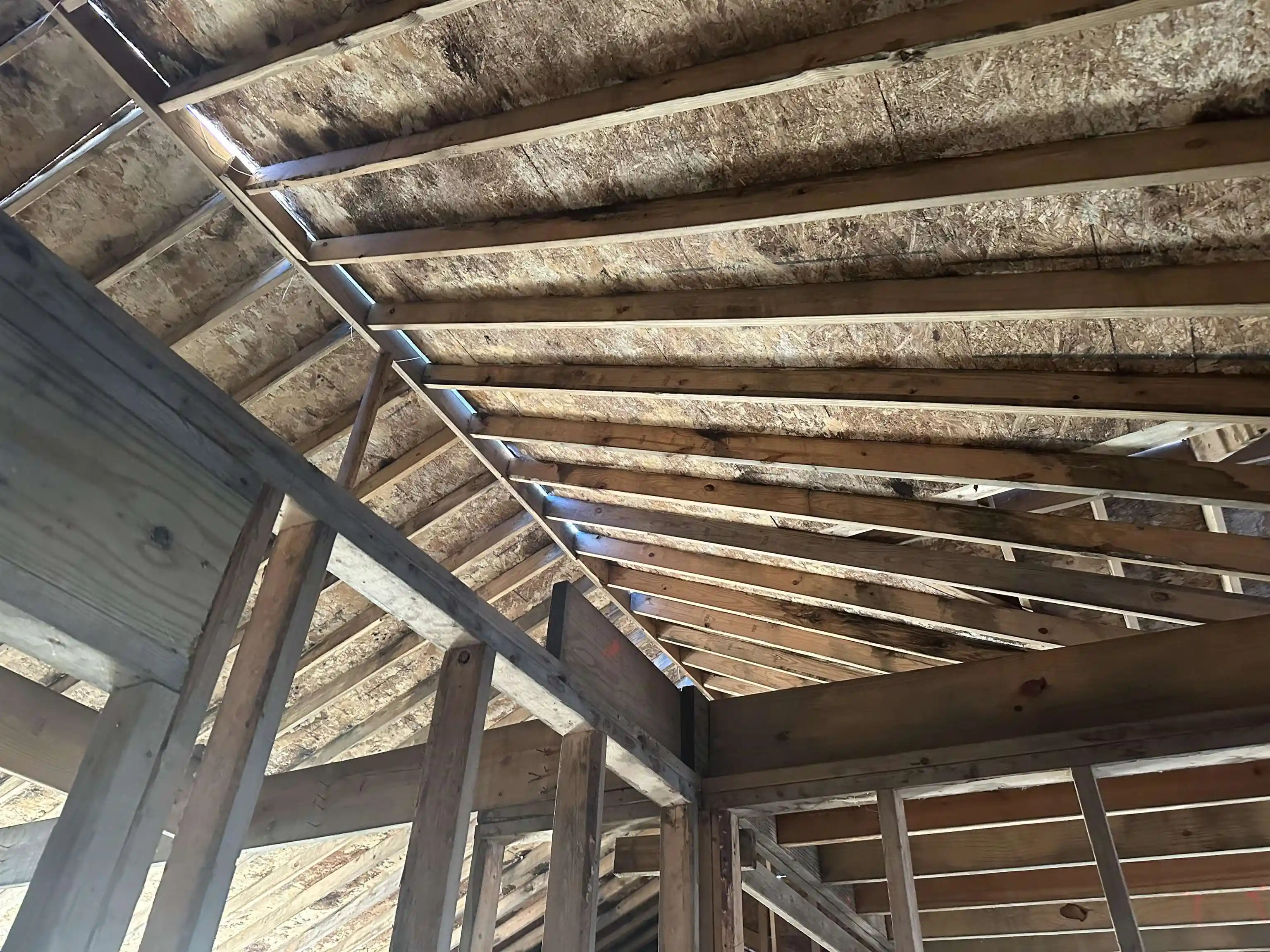 Photo 3 of Single family home for sale at 3485 Felton Rd, Memphis, TN 38128 | MLS# 10213029 | Listing updated on 2026-01-16