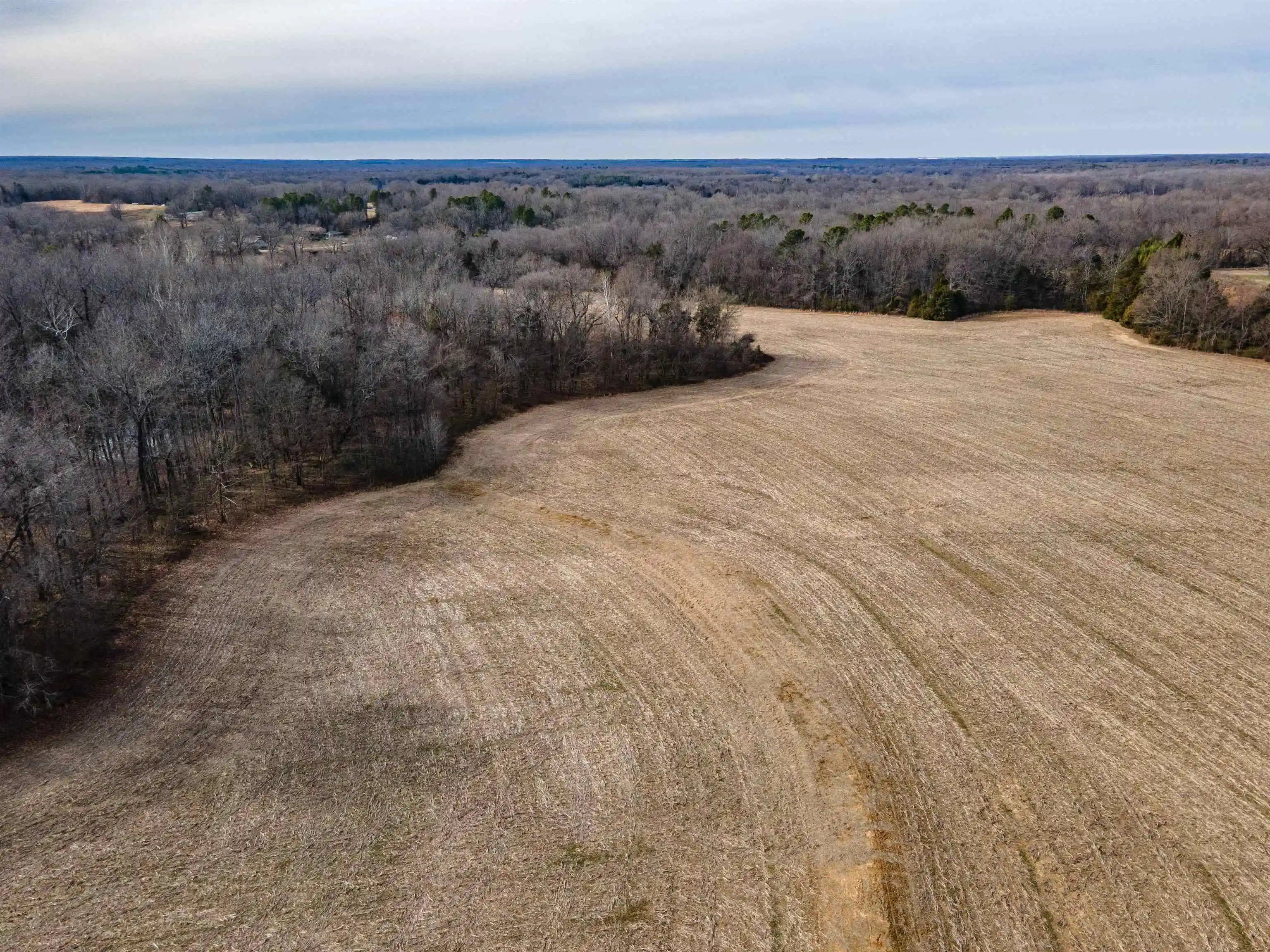 Photo 3 of Land for sale at Mt Moriah Rd, Somerville, TN 38068 | MLS# 10213564 | Listing updated on 2026-09-01