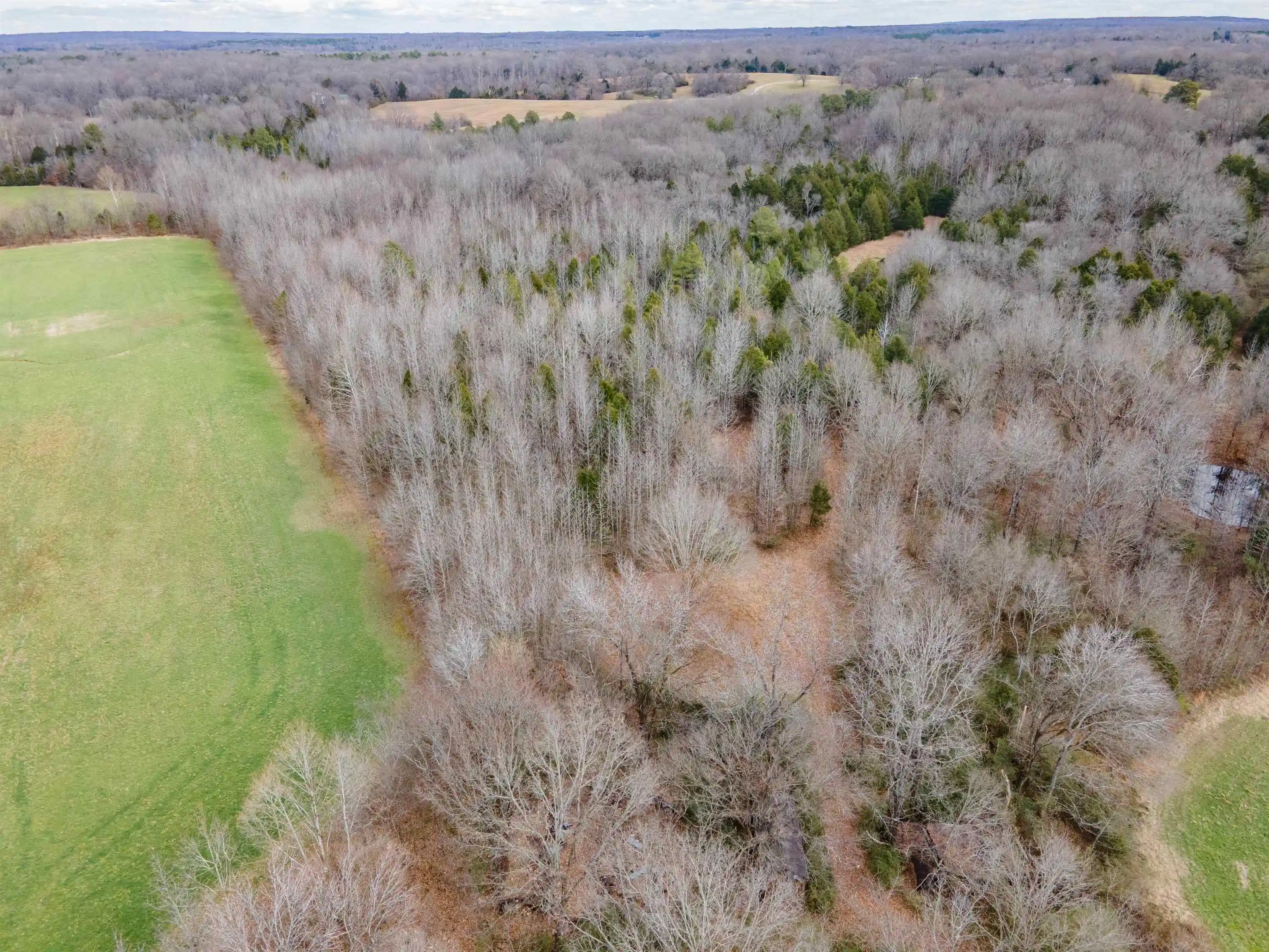 Photo 2 of Land for sale at 00 Highway 64, Whiteville, TN 38075 | MLS# 10213565 | Listing updated on 2026-07-21