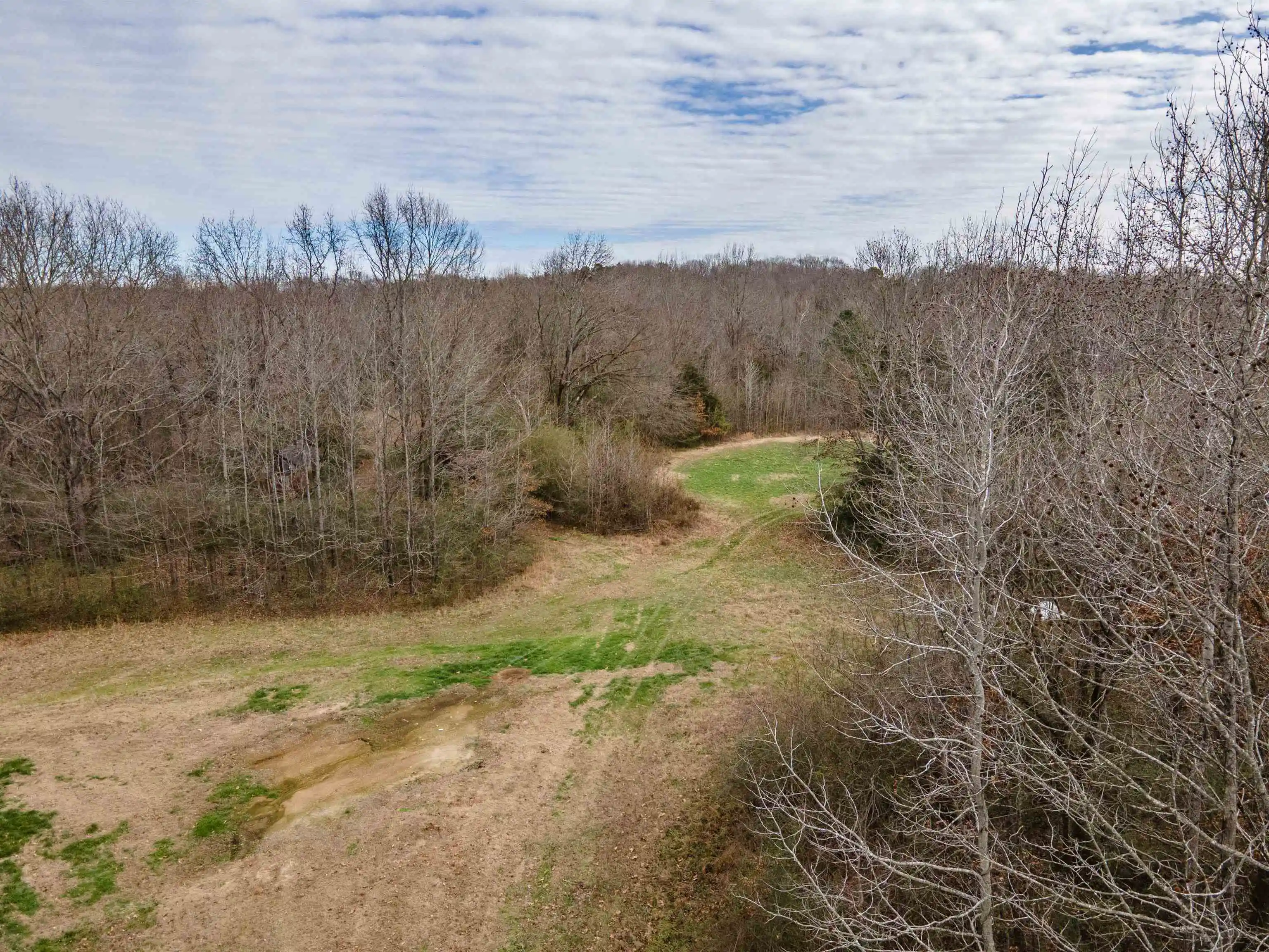 Photo 3 of Land for sale at 00 Highway 64, Whiteville, TN 38075 | MLS# 10213565 | Listing updated on 2026-07-21