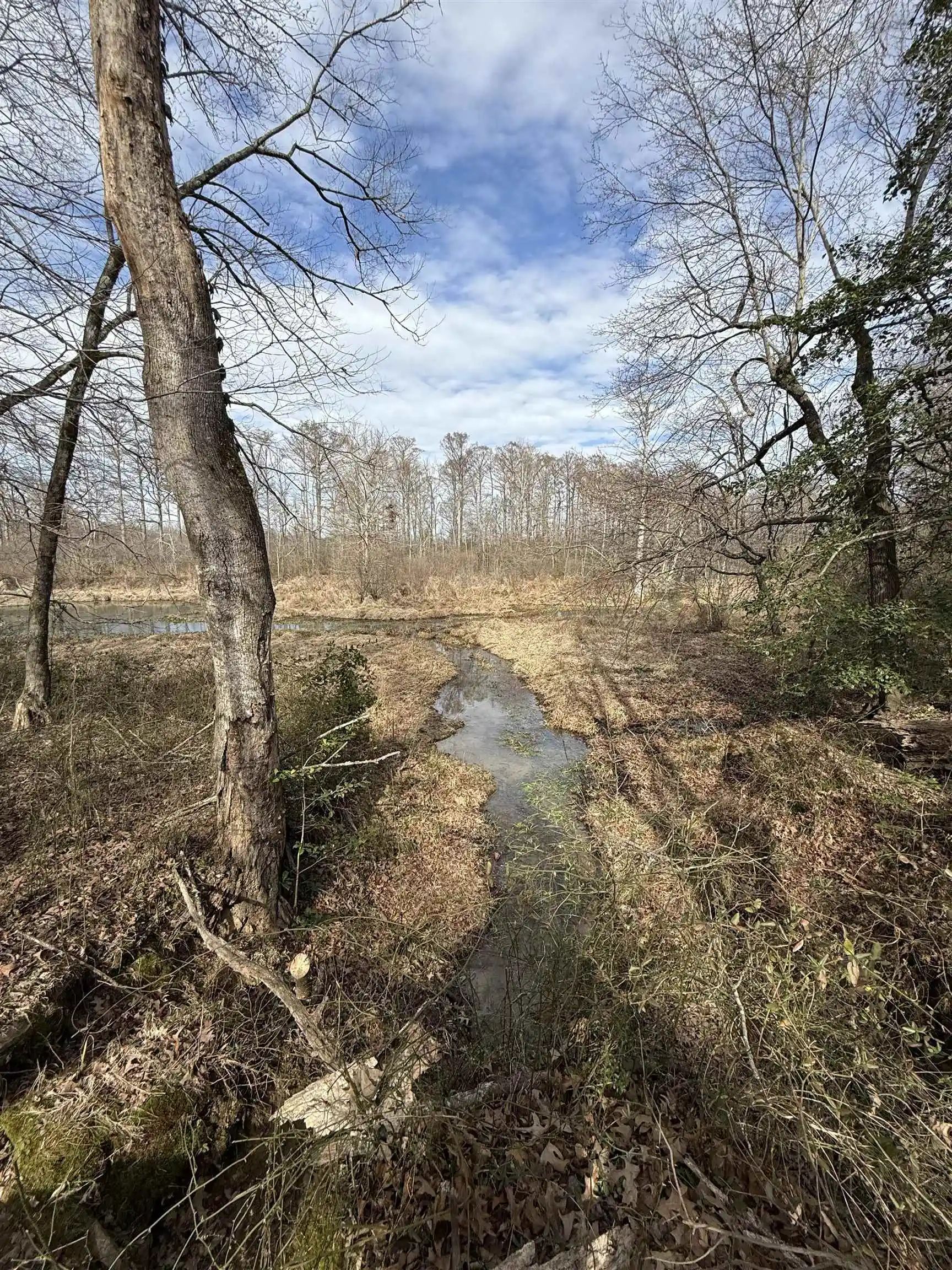 Photo 4 of Land for sale at 00 Highway 64, Whiteville, TN 38075 | MLS# 10213565 | Listing updated on 2026-07-21