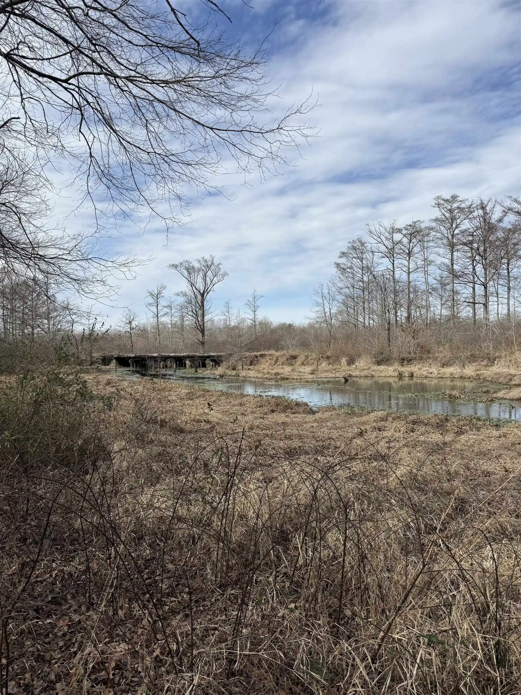 Photo 6 of Land for sale at 00 Highway 64, Whiteville, TN 38075 | MLS# 10213565 | Listing updated on 2026-07-21