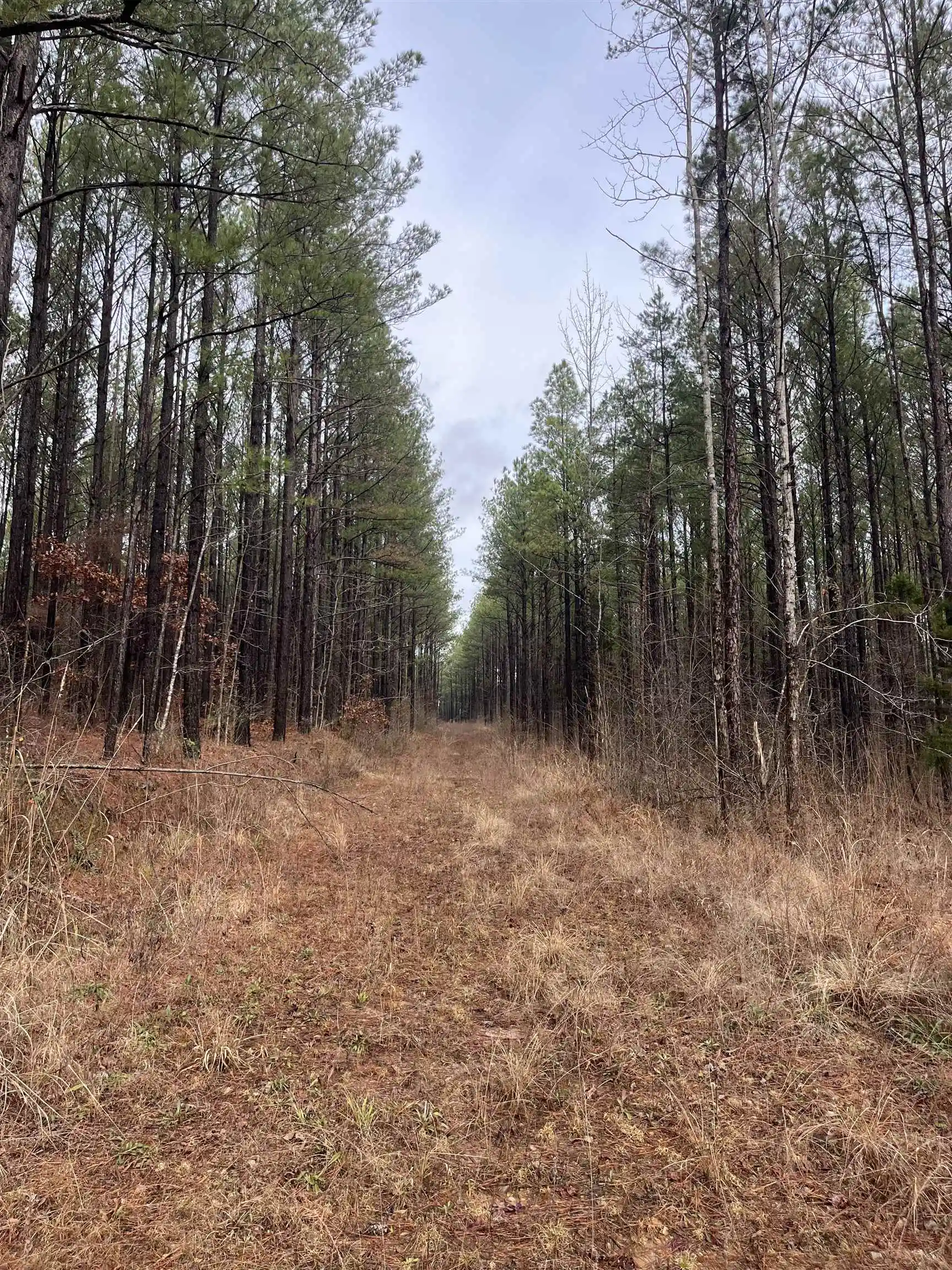 1st image of 0 Cr 324 Rd, Iuka, MS 38852 | MLS# 10213648