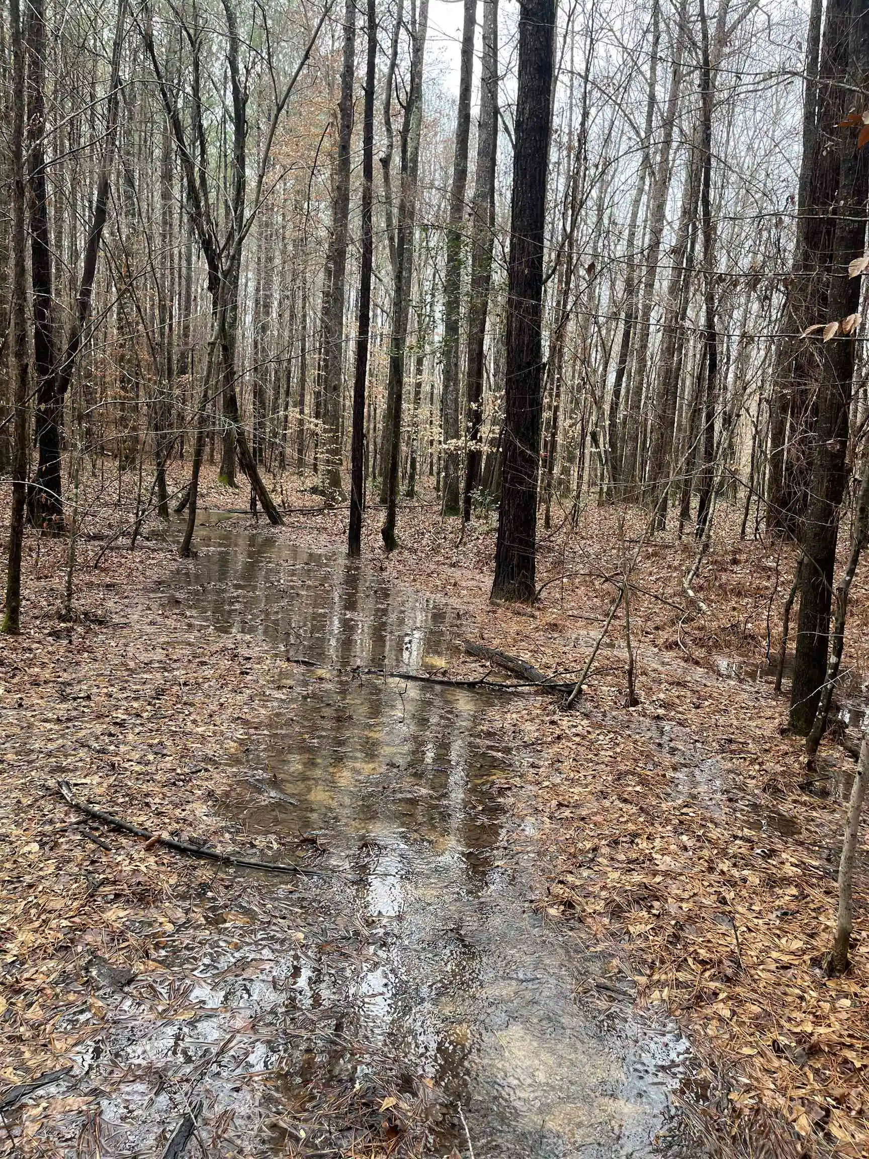 2nd image of 0 Cr 324 Rd, Iuka, MS 38852 | MLS# 10213648