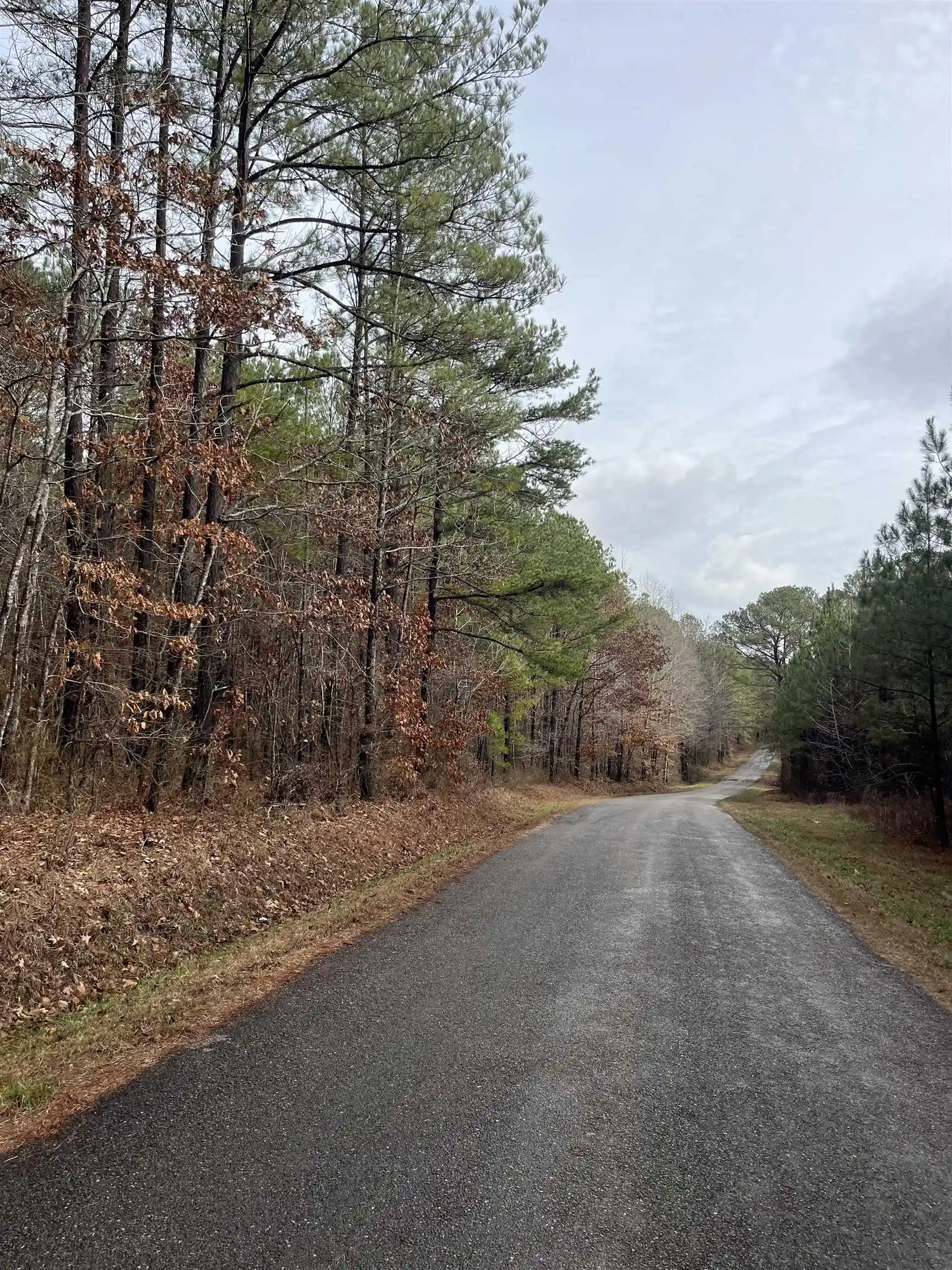 3rd image of 0 Cr 324 Rd, Iuka, MS 38852 | MLS# 10213648