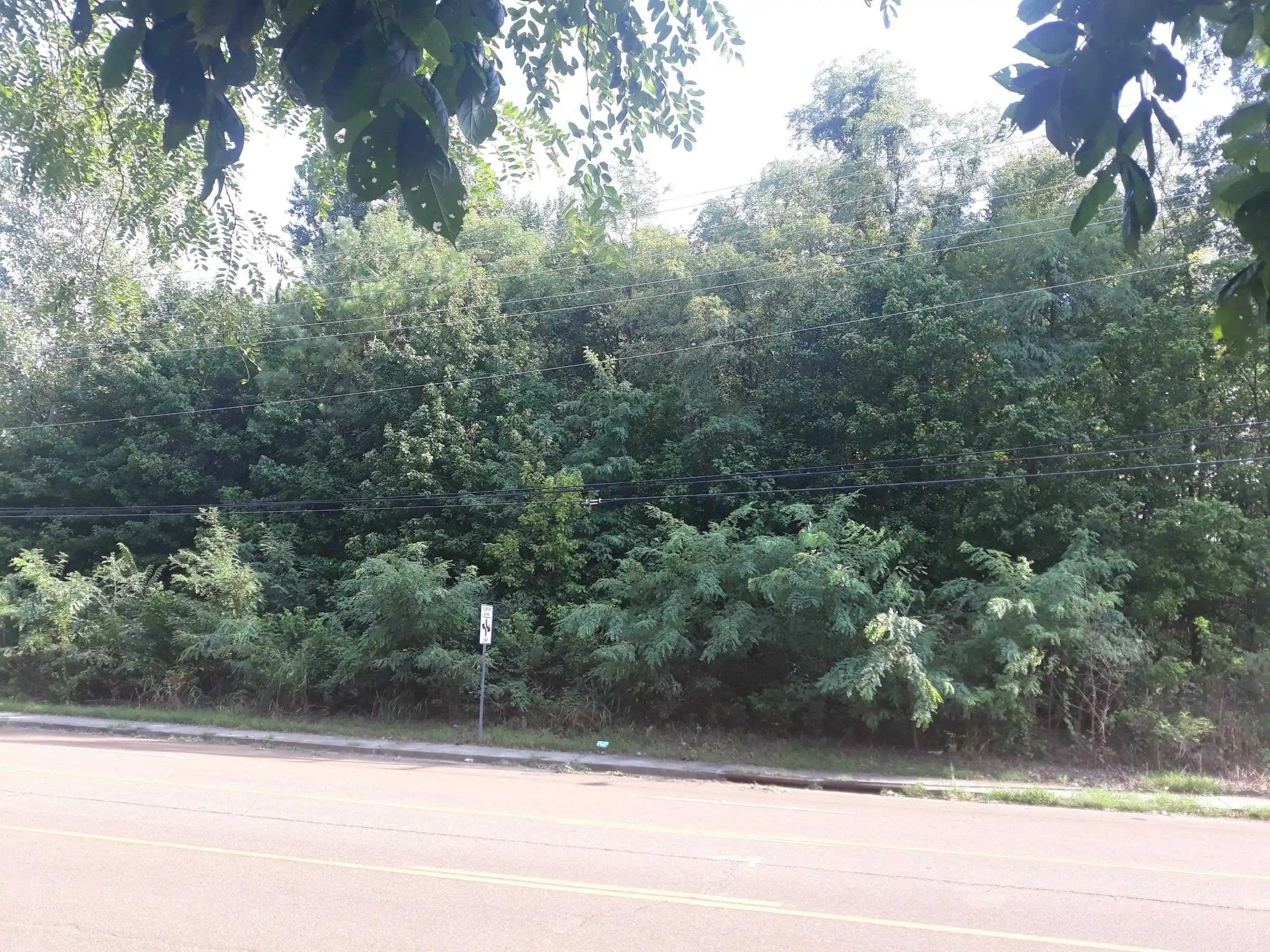 2nd image of 1307 W Raines Rd, Memphis, TN 38109 | MLS# 10213793