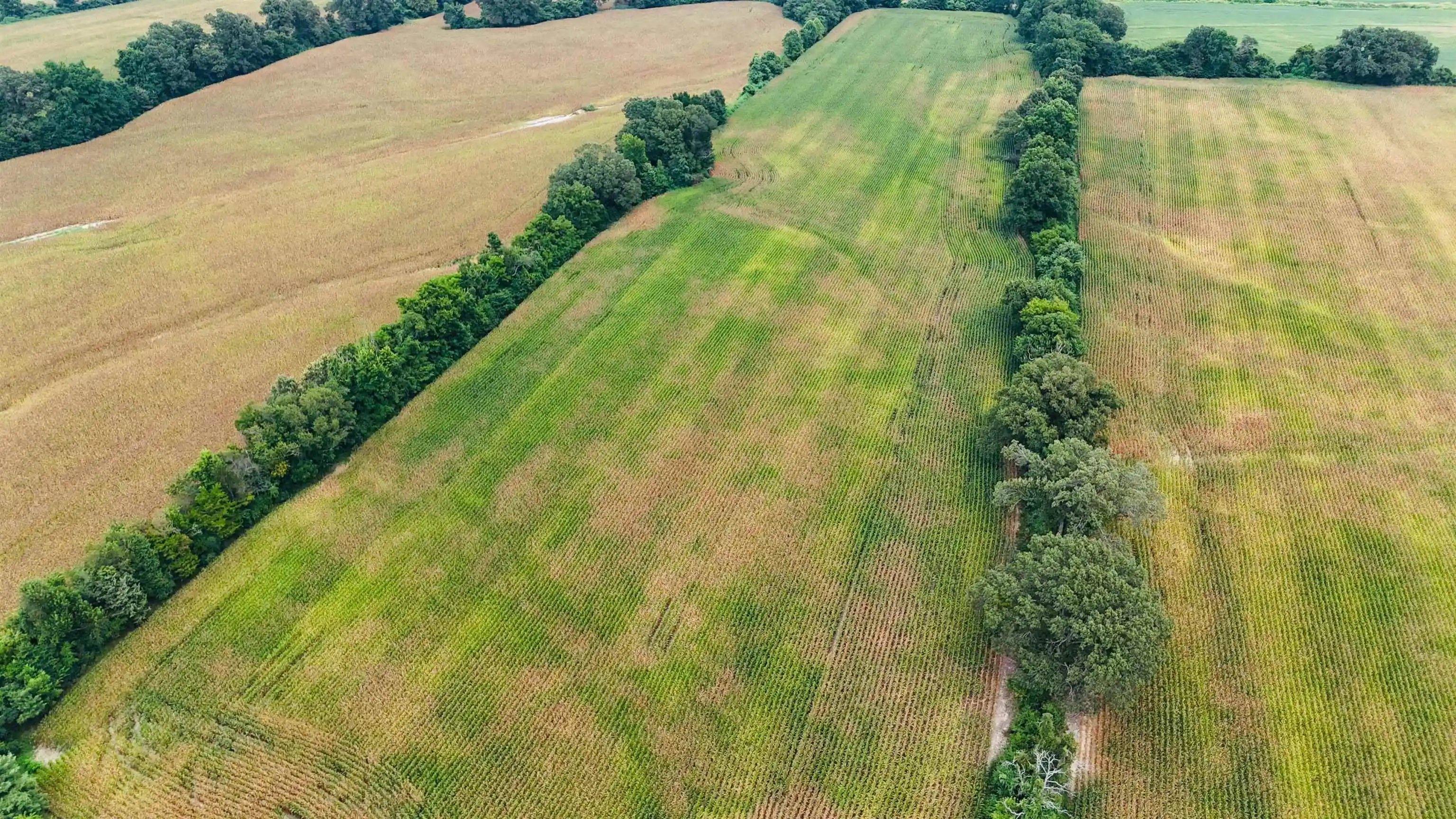 Photo 3 of Land for sale at 1622 Sanford Rd, Covington, TN 38019 | MLS# 10214266 | Listing updated on 2026-02-09
