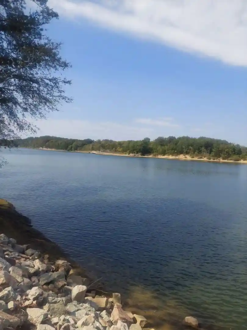 5th image of 705 Prairie Land Dr, Savannah, TN 38372 | MLS# 10214292