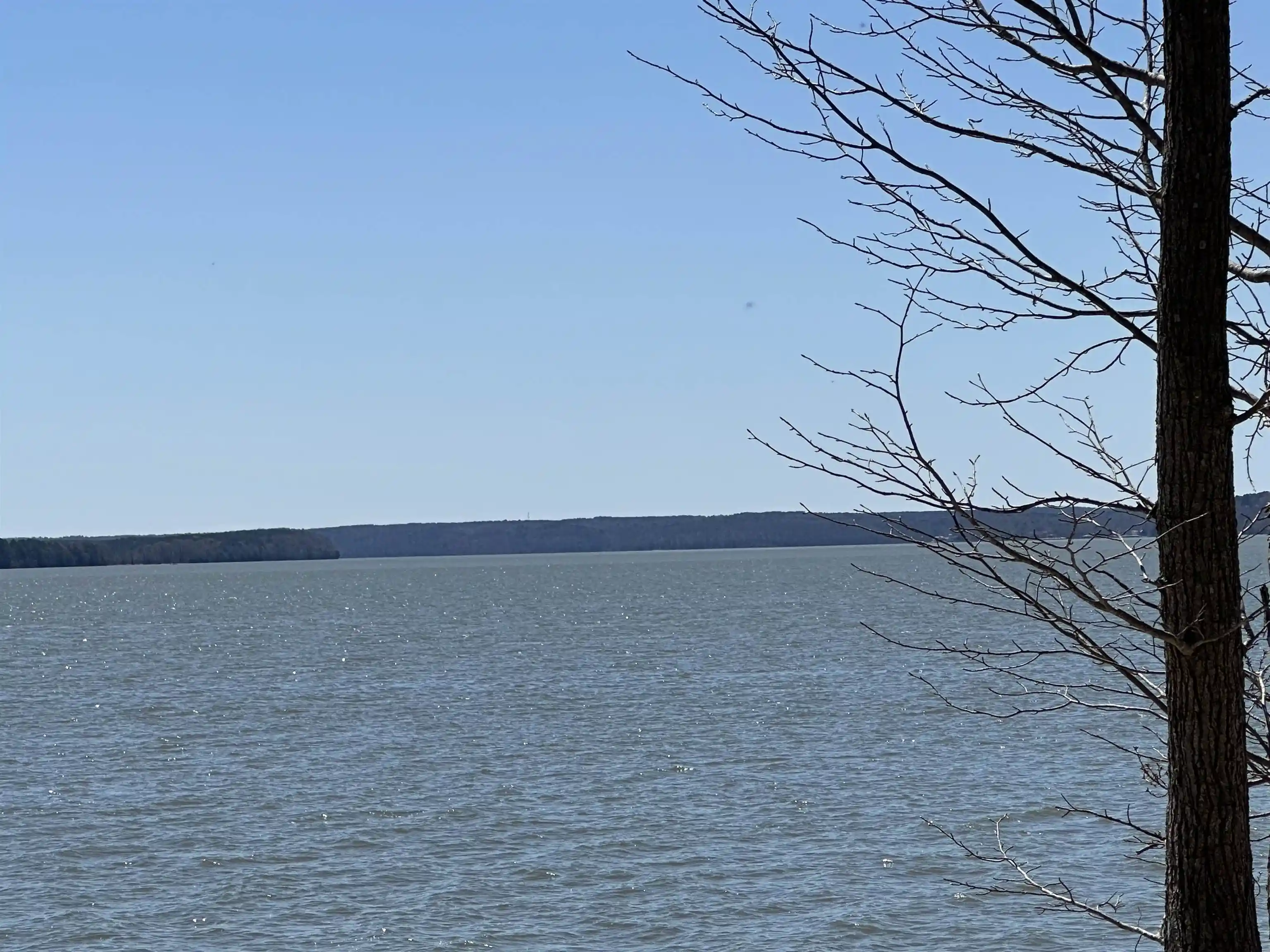 Photo 3 of Land for sale at Lot 24 Bruton Branch Rd, Savannah, TN 38372 | MLS# 10214786 | Listing updated on 2026-08-10