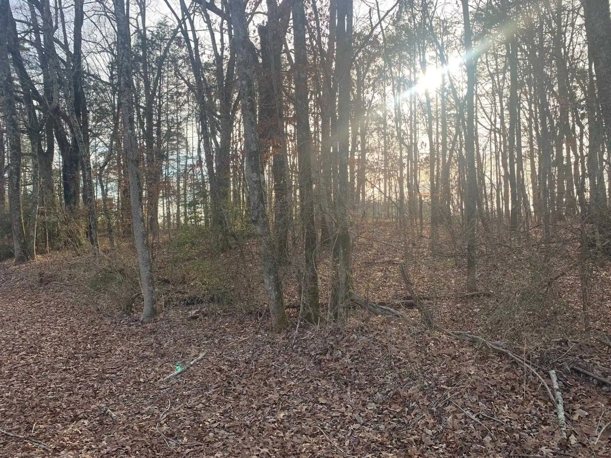 Homes for sale in Bethel Springs, TN | 7870 Buena Vista Rd, Bethel Springs, TN 38315 | MLS# 10214993