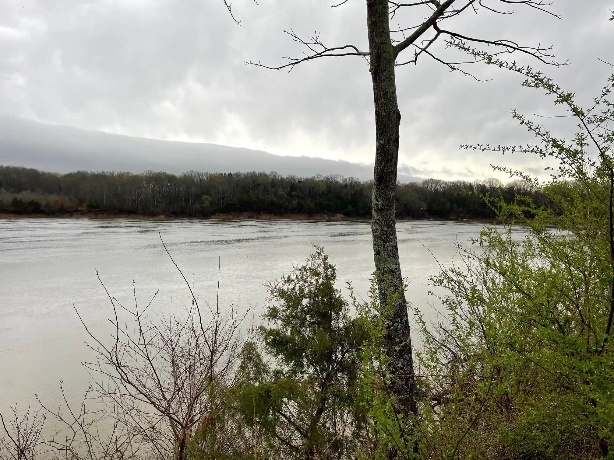 1st image of 70 Cravens Rd, Savannah, TN 38372 | MLS# 10215547
