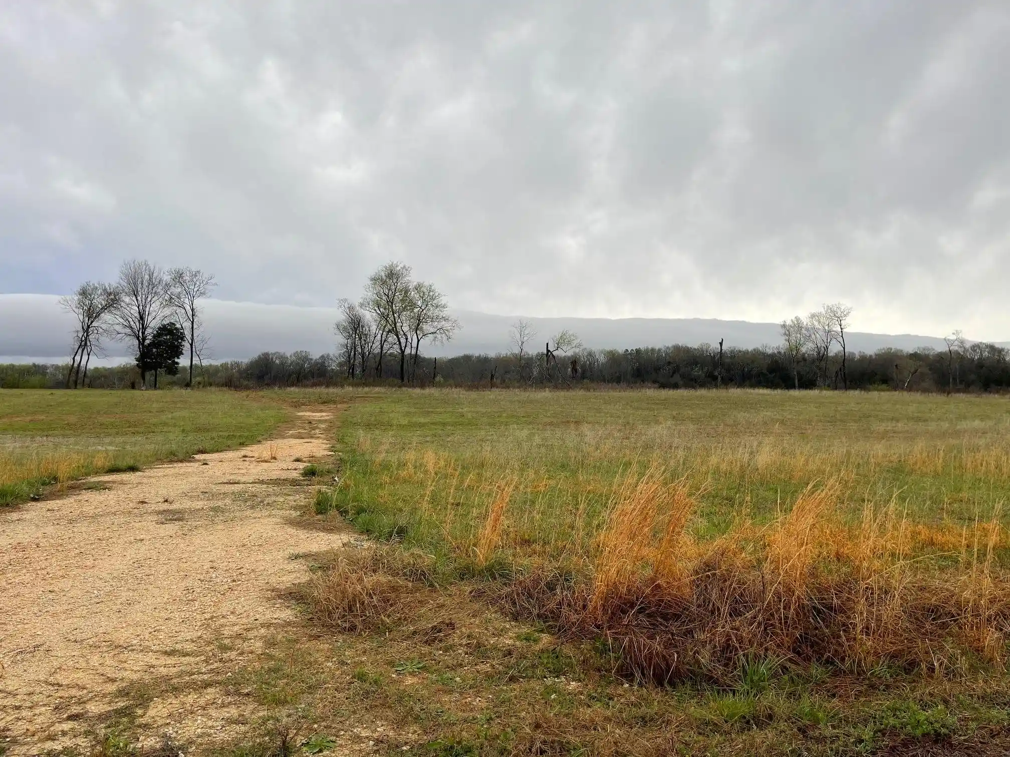 Photo 3 of Land for sale at 70 Cravens Rd, Savannah, TN 38372 | MLS# 10215547 | Listing updated on 2026-02-27