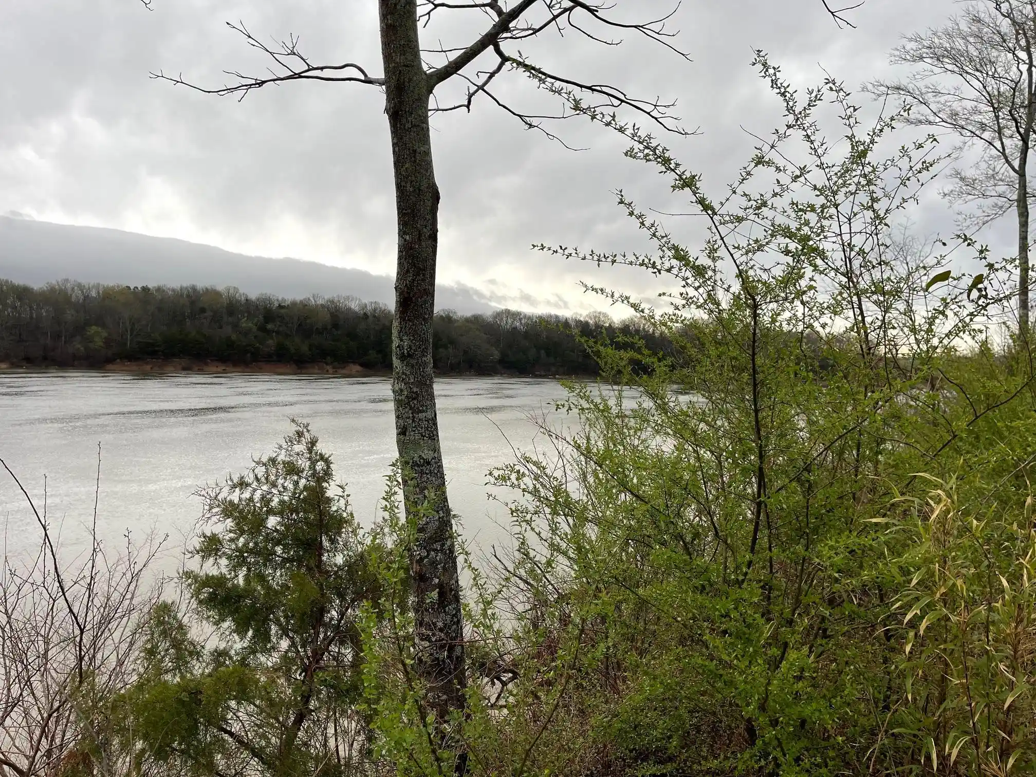 Photo 3 of Land for sale at 70 Cravens Rd, Savannah, TN 38372 | MLS# 10215547 | Listing updated on 2026-02-27