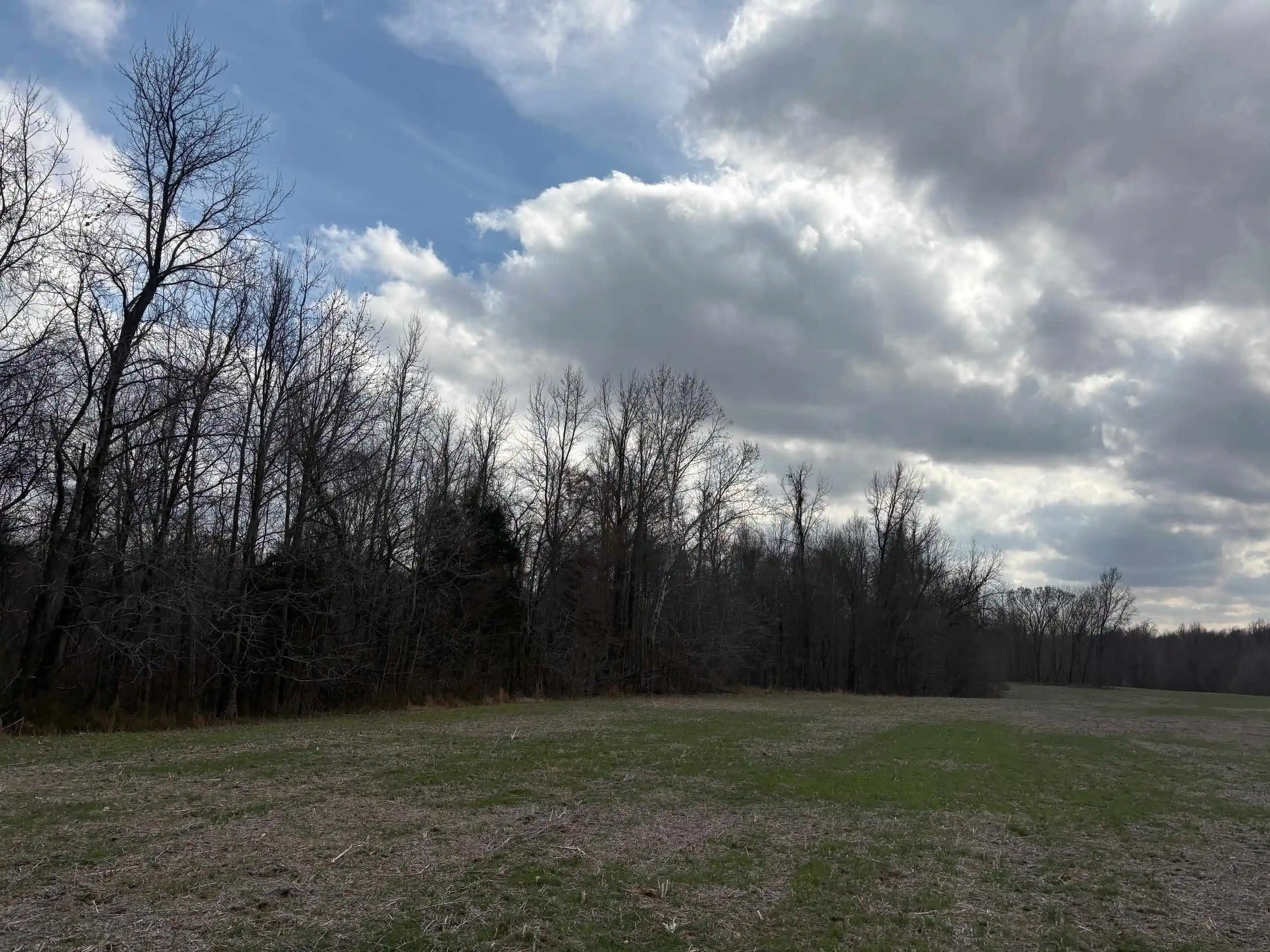 Photo 3 of Land for sale at 00 Bald Knob Rd, Ripley, TN 38063 | MLS# 10215730 | Listing updated on 2026-04-06