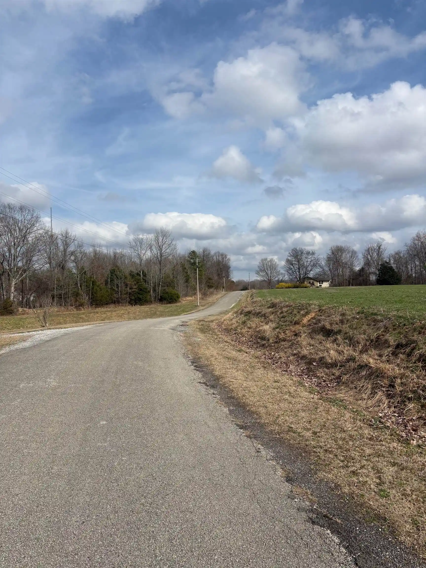 Photo 3 of Land for sale at 00 Bald Knob Rd, Ripley, TN 38063 | MLS# 10215730 | Listing updated on 2026-04-06
